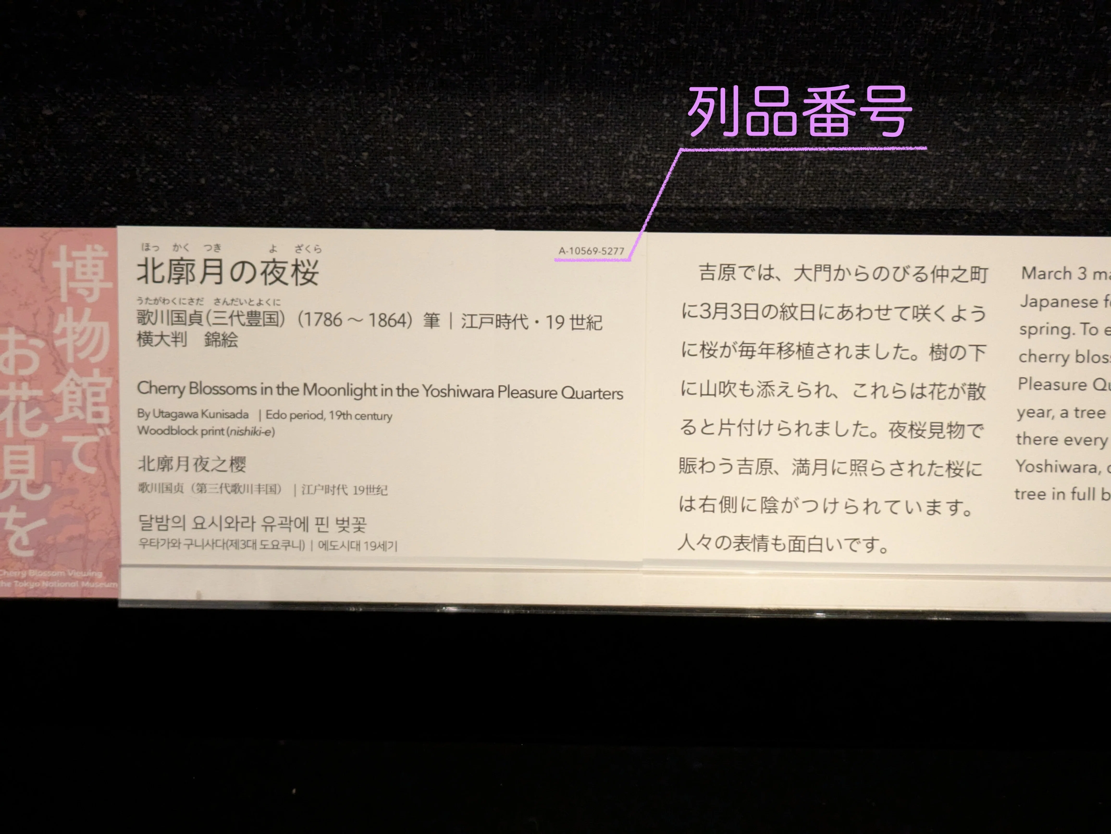 ひと足お先に桜が満開だった、東京国立博物館の「浮世絵の部屋」｜かわかわ