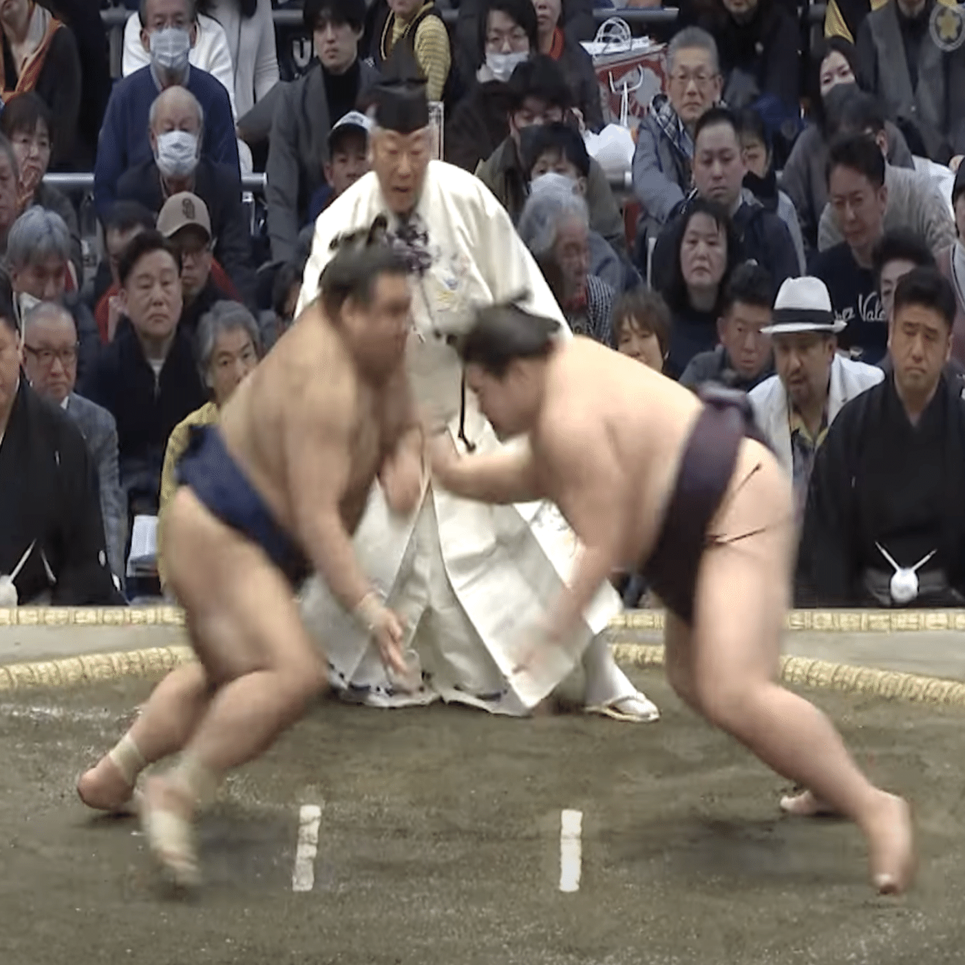大相撲春場所】12日目・優勝争いの3番を振り返る｜tzklp