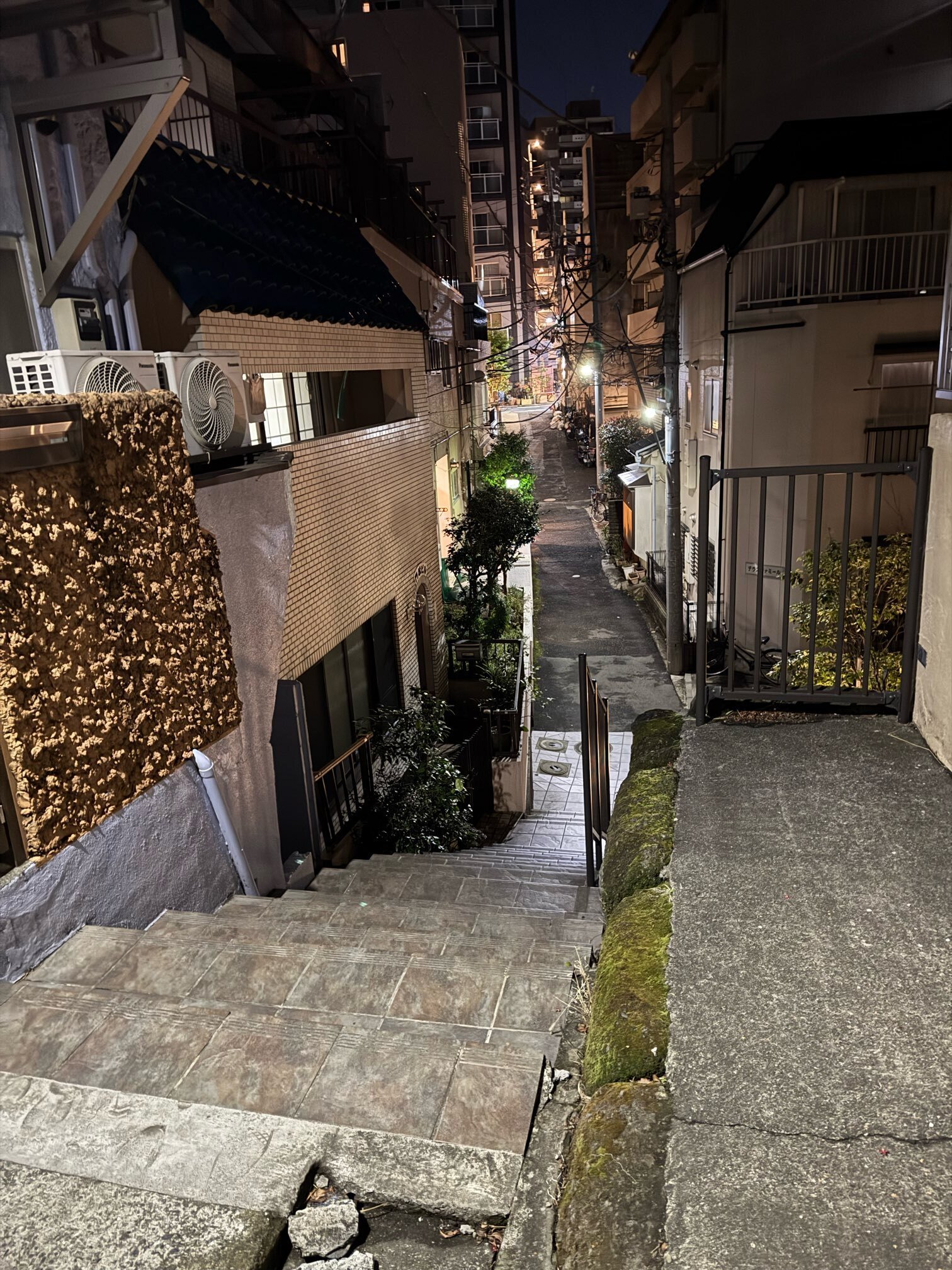 東京夜探偵 18 四谷荒木町の夜桜～2025年3月～｜露塵散