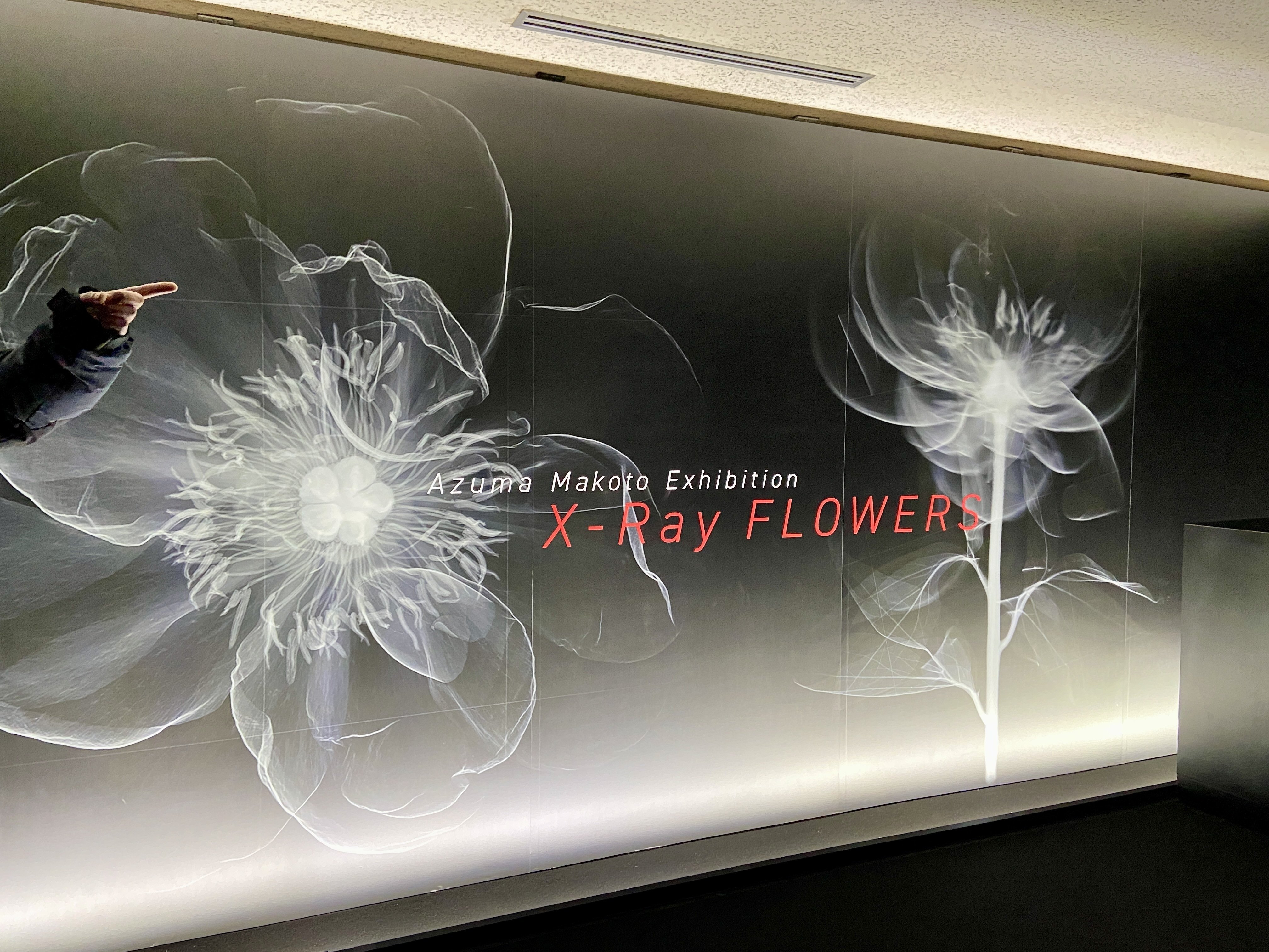 X-Ray FLOWERS 東信（あずま まこと） 元京都新聞印刷工場