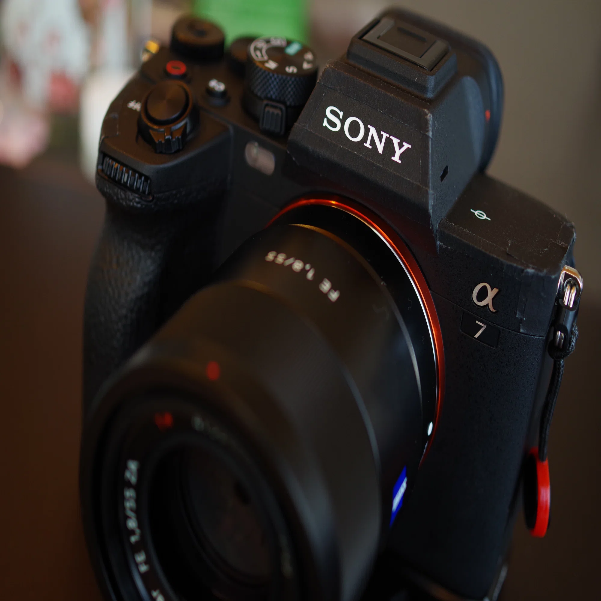 新たなカメラがやってきた。SONY α7Ⅳ｜鶏(とり)