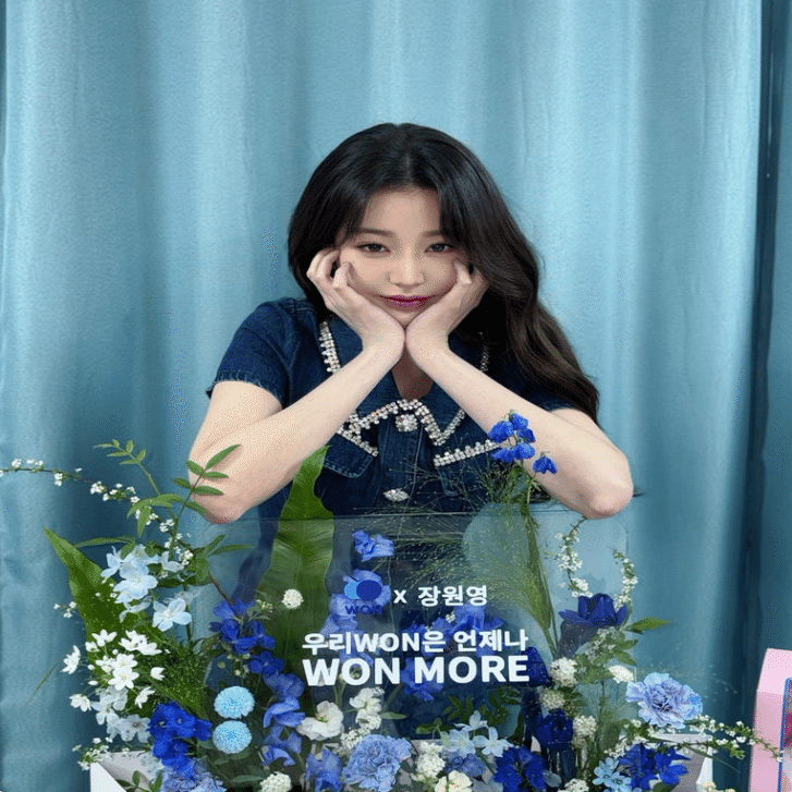 すべてを持つアイドル」チャン・ウォニョン｜k_info_jp