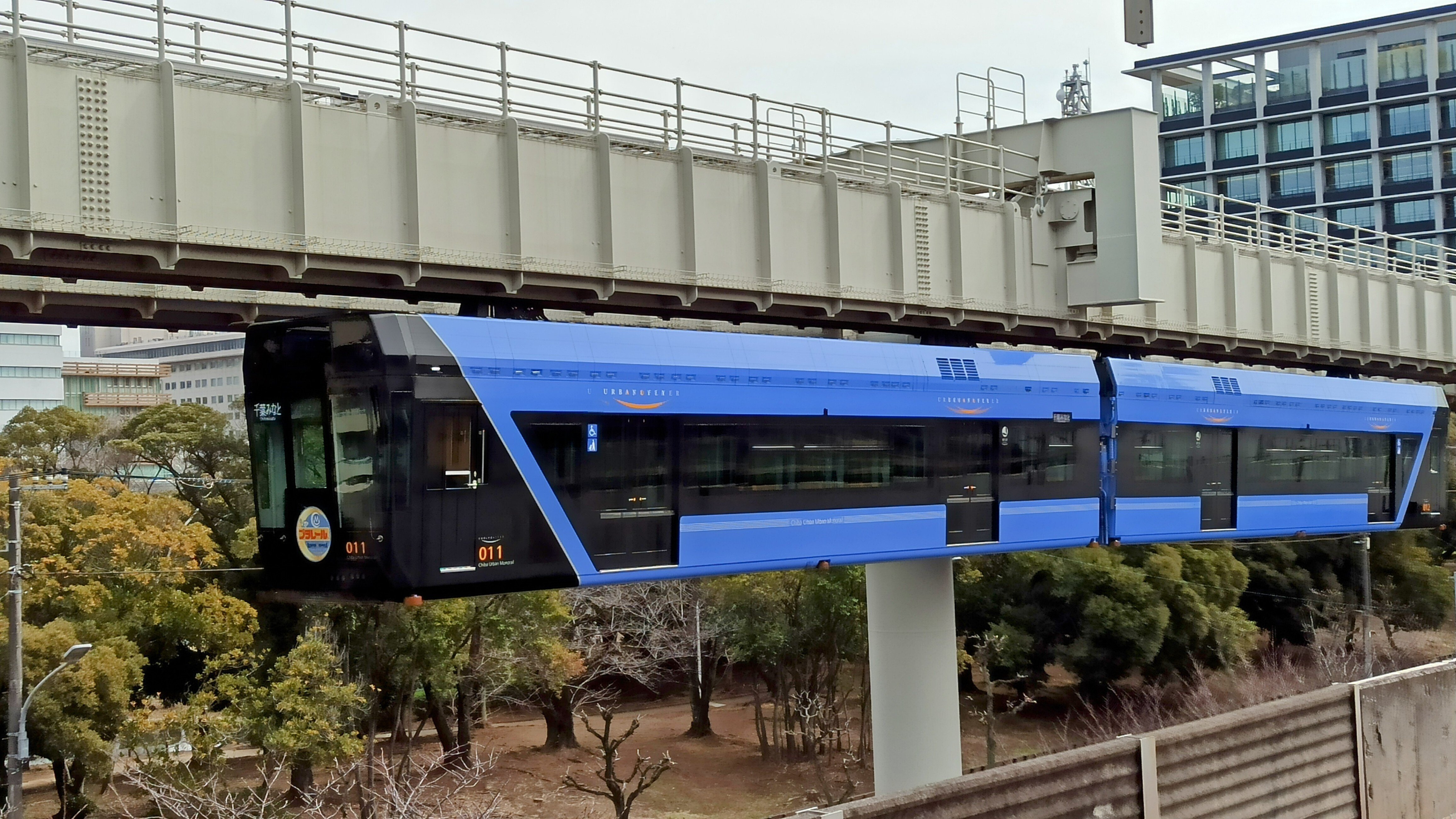 宙組 次期トップスターに 桜木みなと さんが発表されました