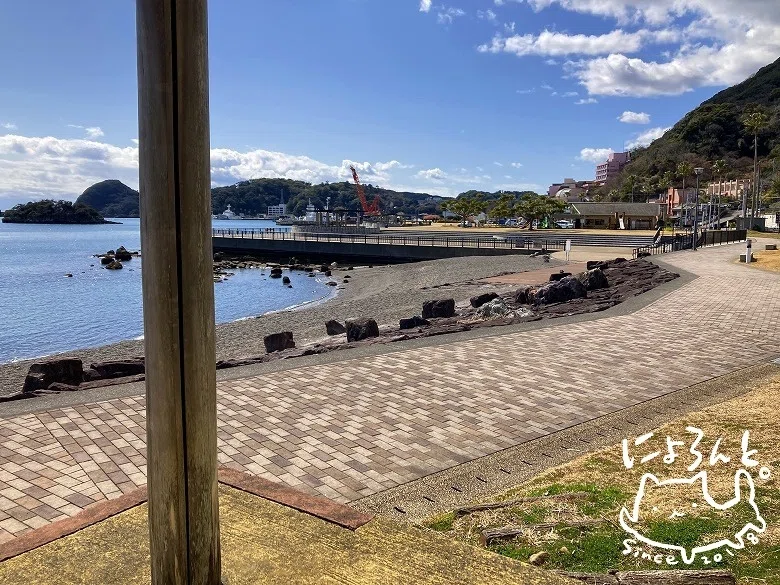 ホソウミニナがいっぱい！下田の人工磯・まどか浜でビーチコーミング