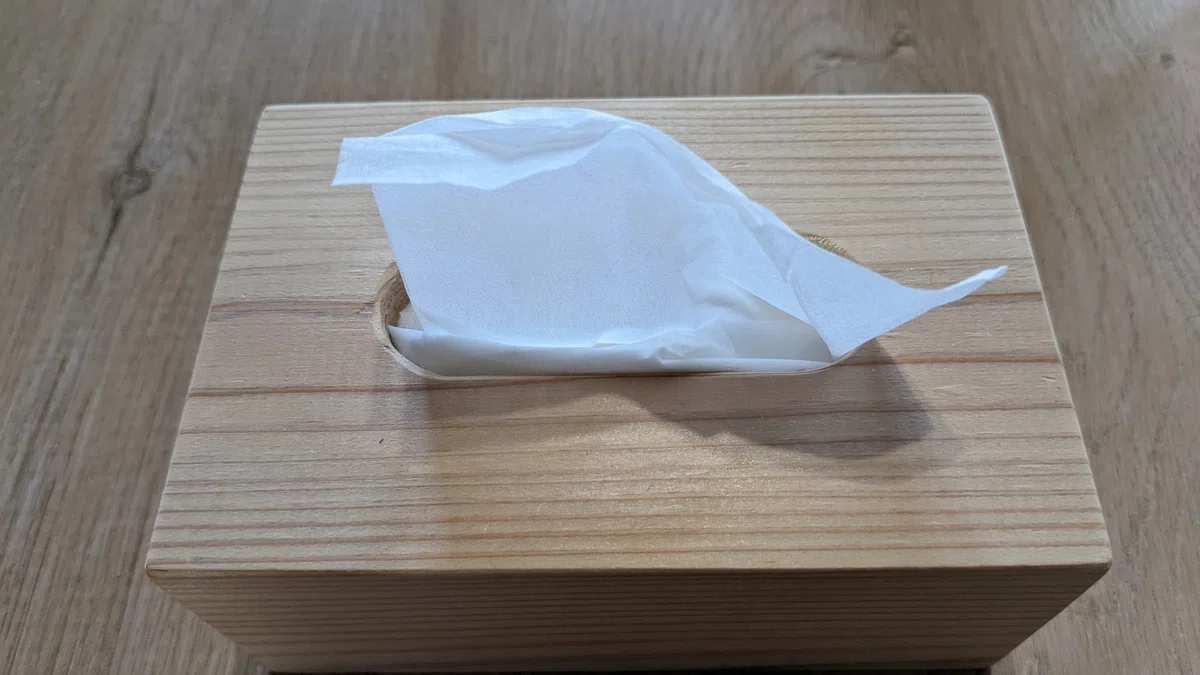 ティッシュペーパーの賢い使い方！小さな工夫で節約を｜ちょこたん
