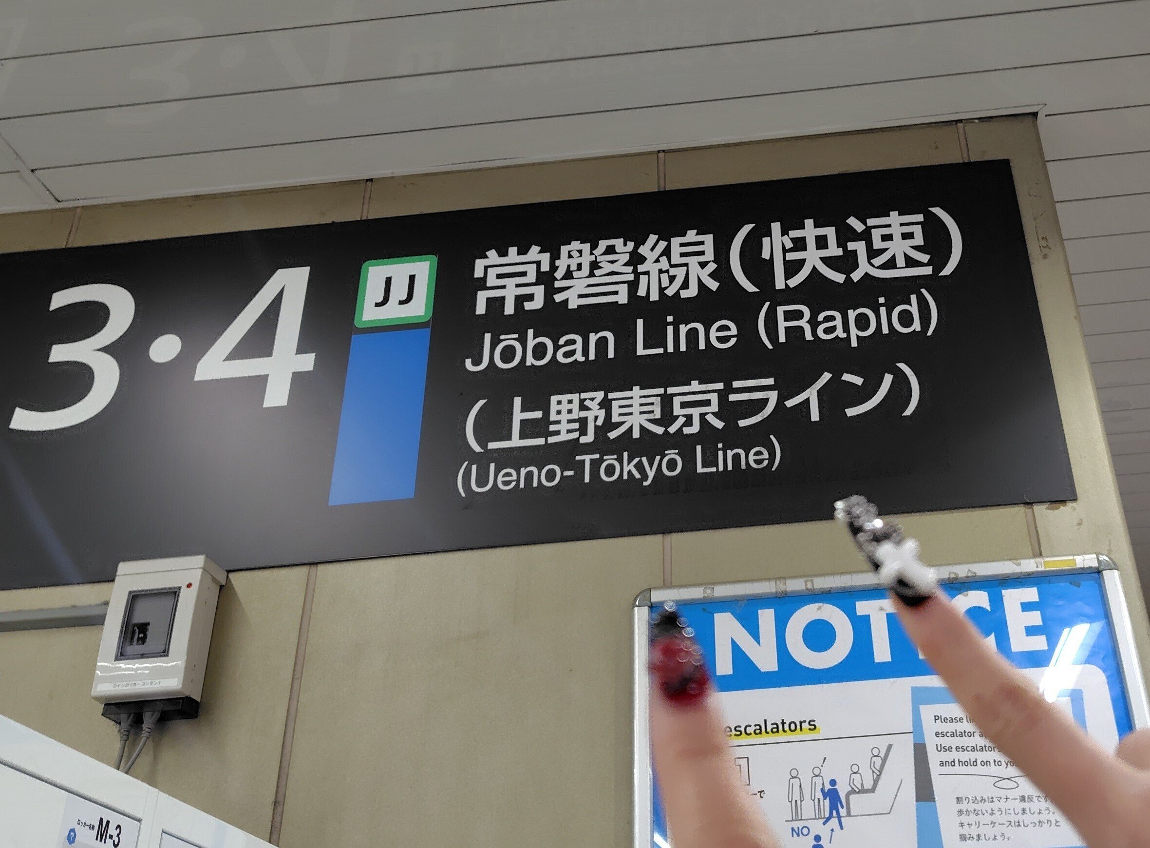 甘暴 堕天ツアー 2025/3/20 千葉 柏PALOOZA｜あれま