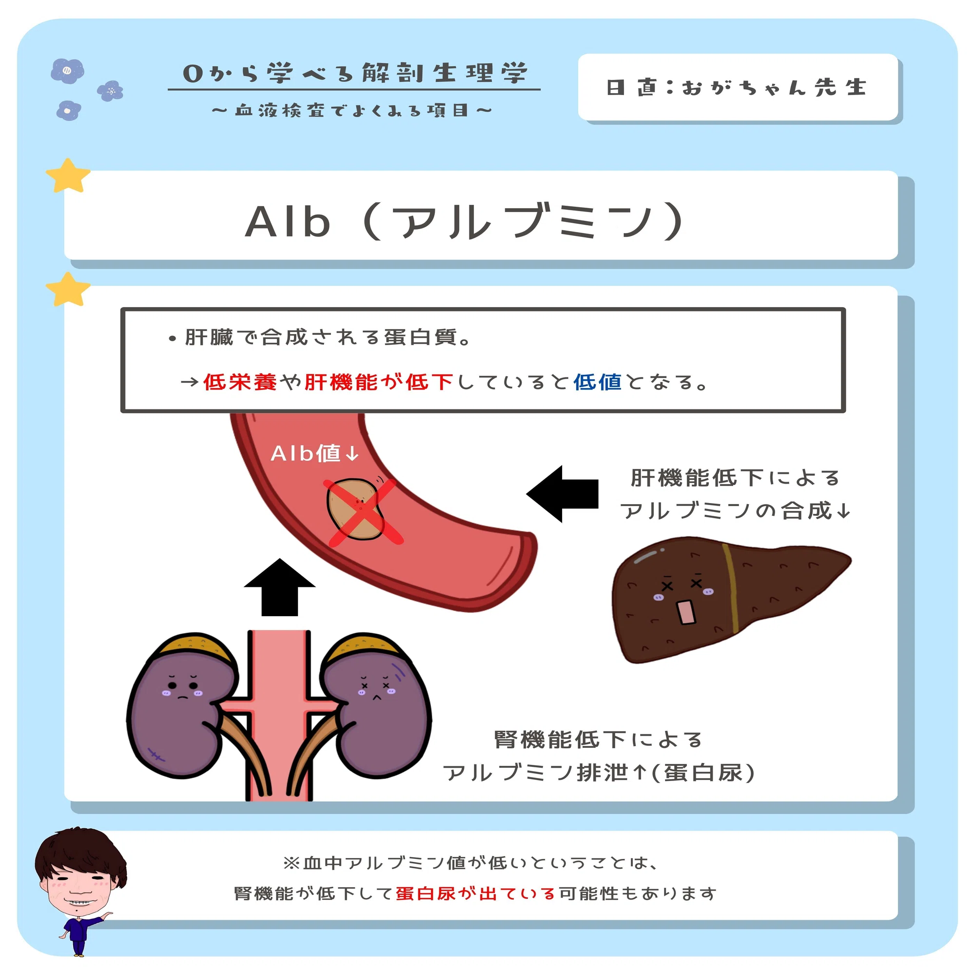 アルブミン と は