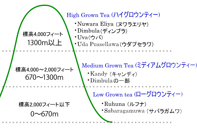 Ceylon teaの標高による分類