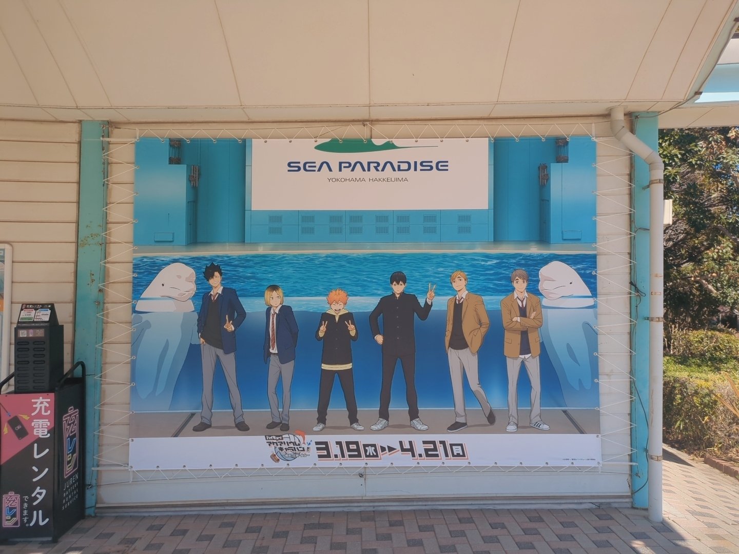 ハイキュー!!】八景島シーパラダイスの水族館コラボ〜コラボ