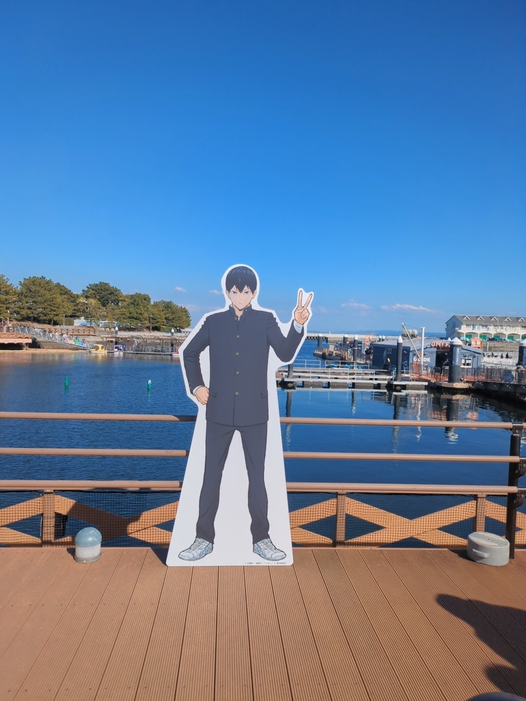 ハイキュー 横浜八景島シーパラダイス 11571-737-