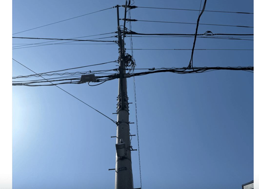 博士日記】25年3月22日（土曜日）博士と豪ちゃんVOL・3 東野幸治