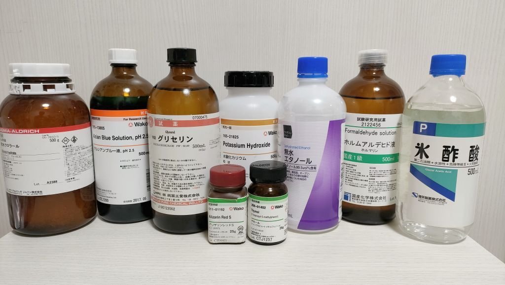 透明標本作製用【軟骨染色原液】30ml 青色染色 アルシアンブルー 大容量 透明標本作製用【軟骨染色原液】30ml 青色染色 アルシアンブルー