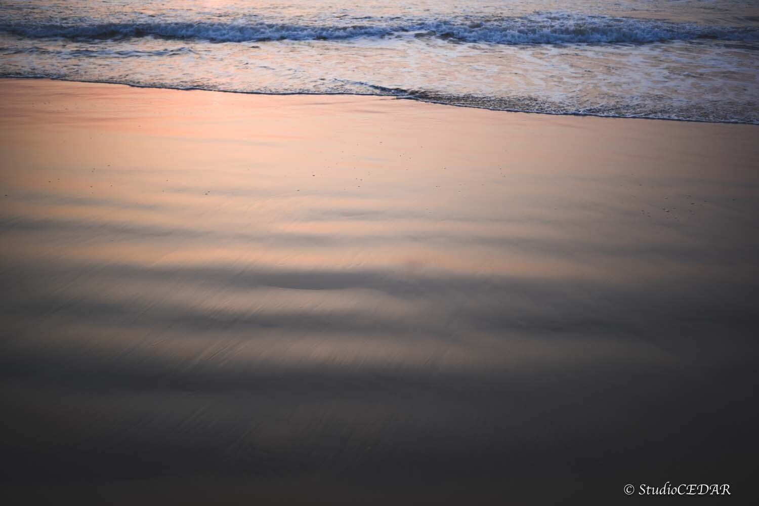 ボクと海｜すぎっち