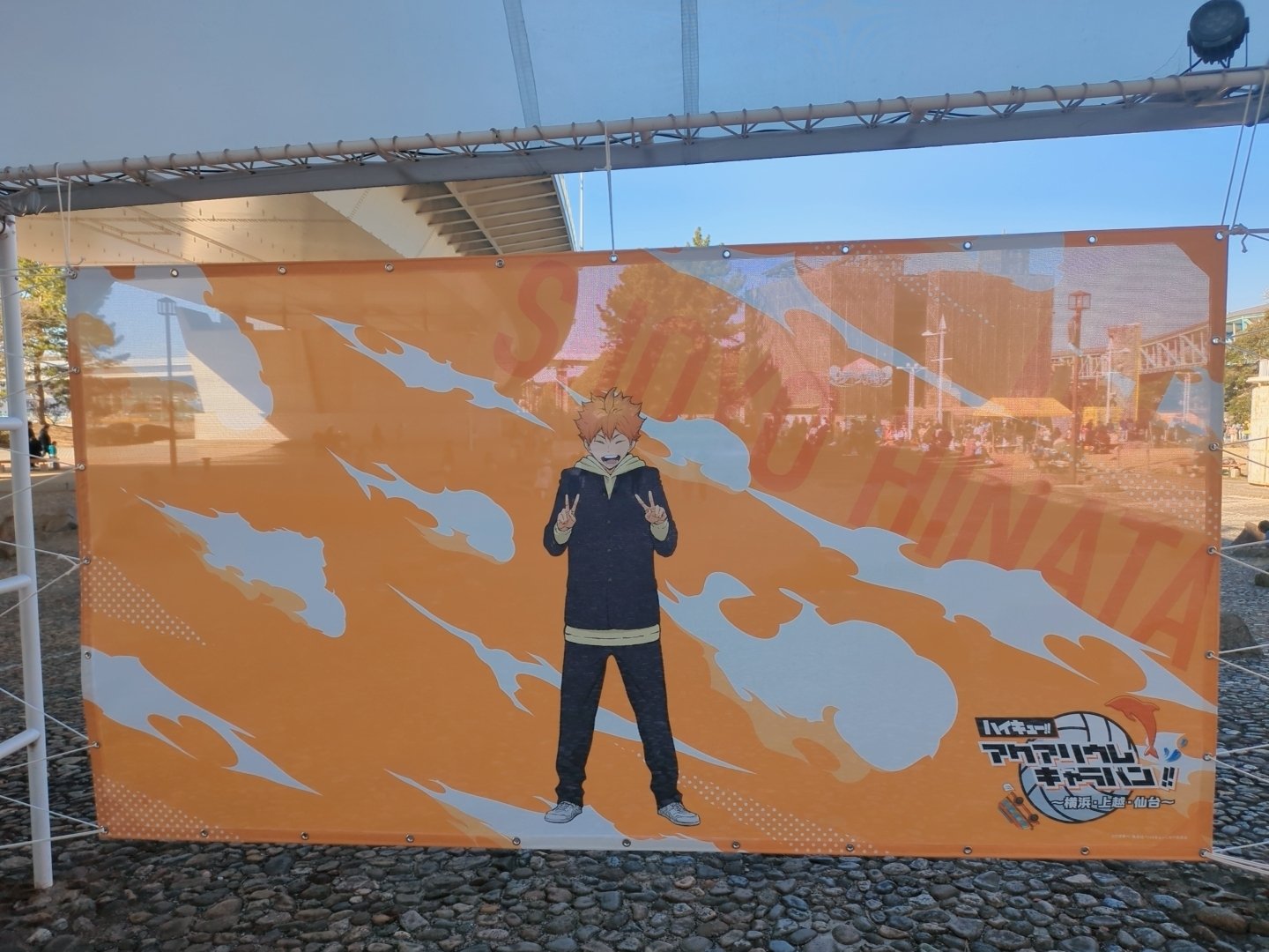 ハイキュー 横浜八景島シーパラダイス 11571-737-