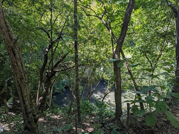 往復800円のバスで】世界遺産:チチェン・イッツァへ｜個人旅行スキ子