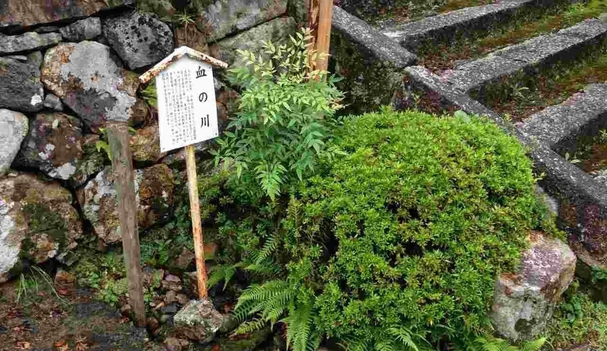 蓮華寺山門脇の血の川(滋賀県米原町番場)