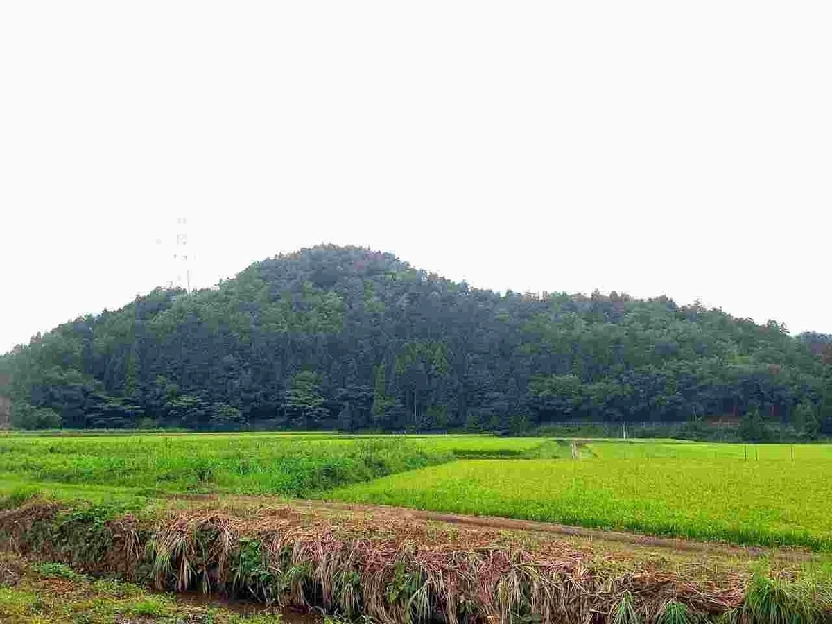 六はら山