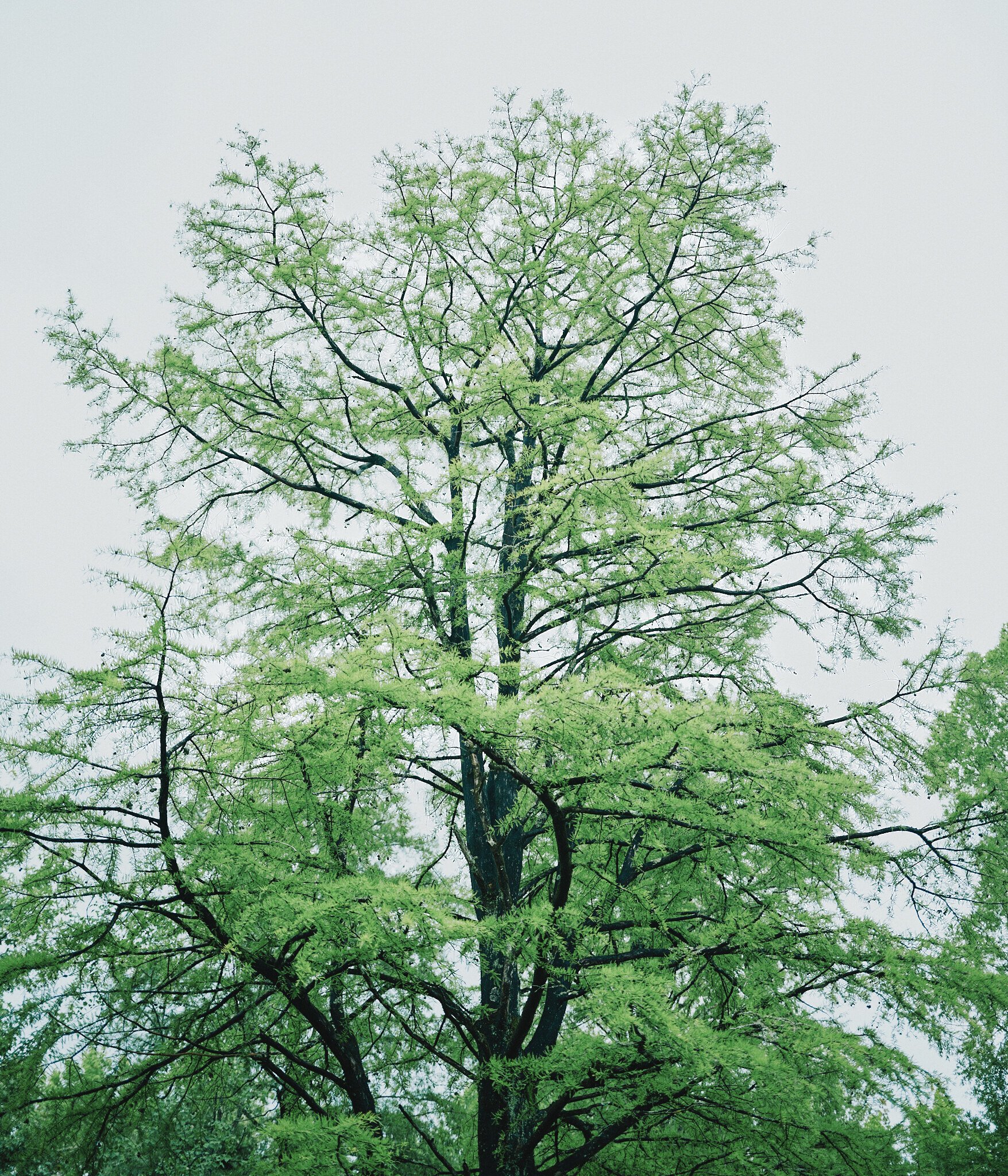 写真編集】Capture Oneがすごい｜uhe / Yuhei Okamoto