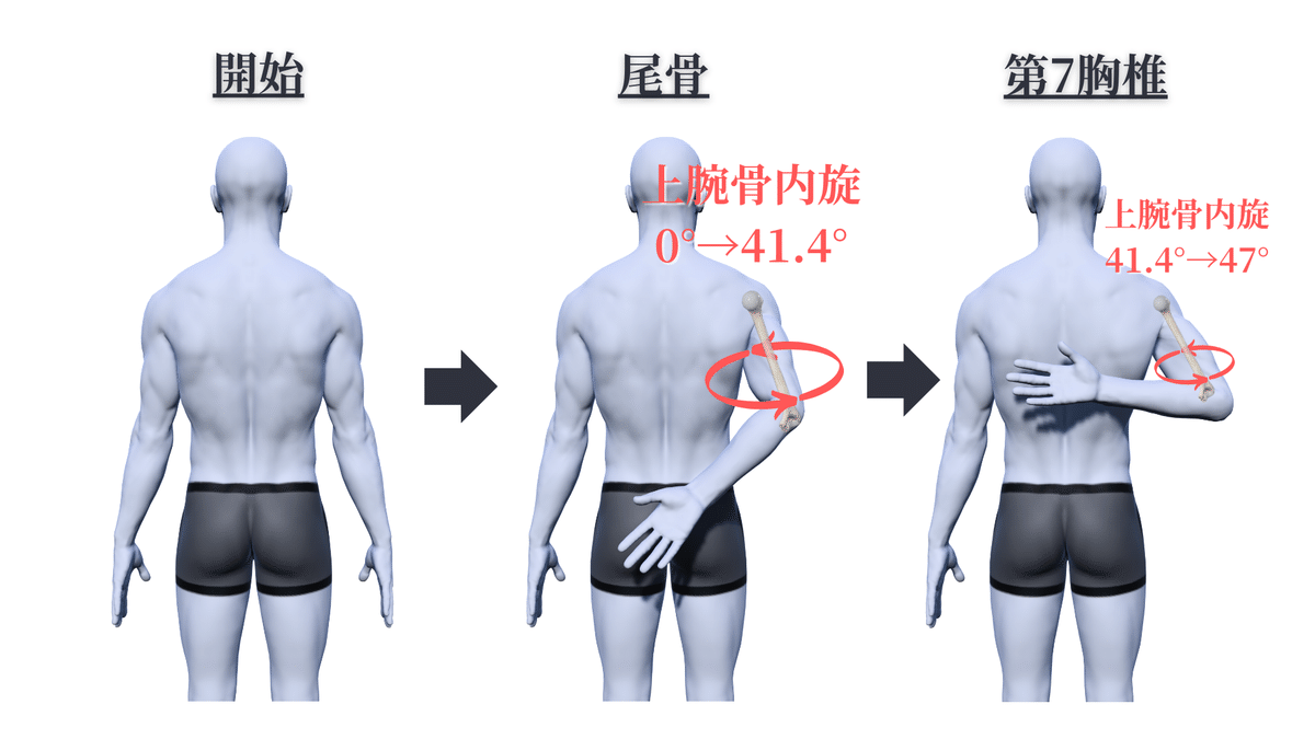 症状別テクニック 完全 攻略バイブル、最新 全身10手のアプローチ ワールド オンラインストア 症状別テクニック 整体 半澤卓摩