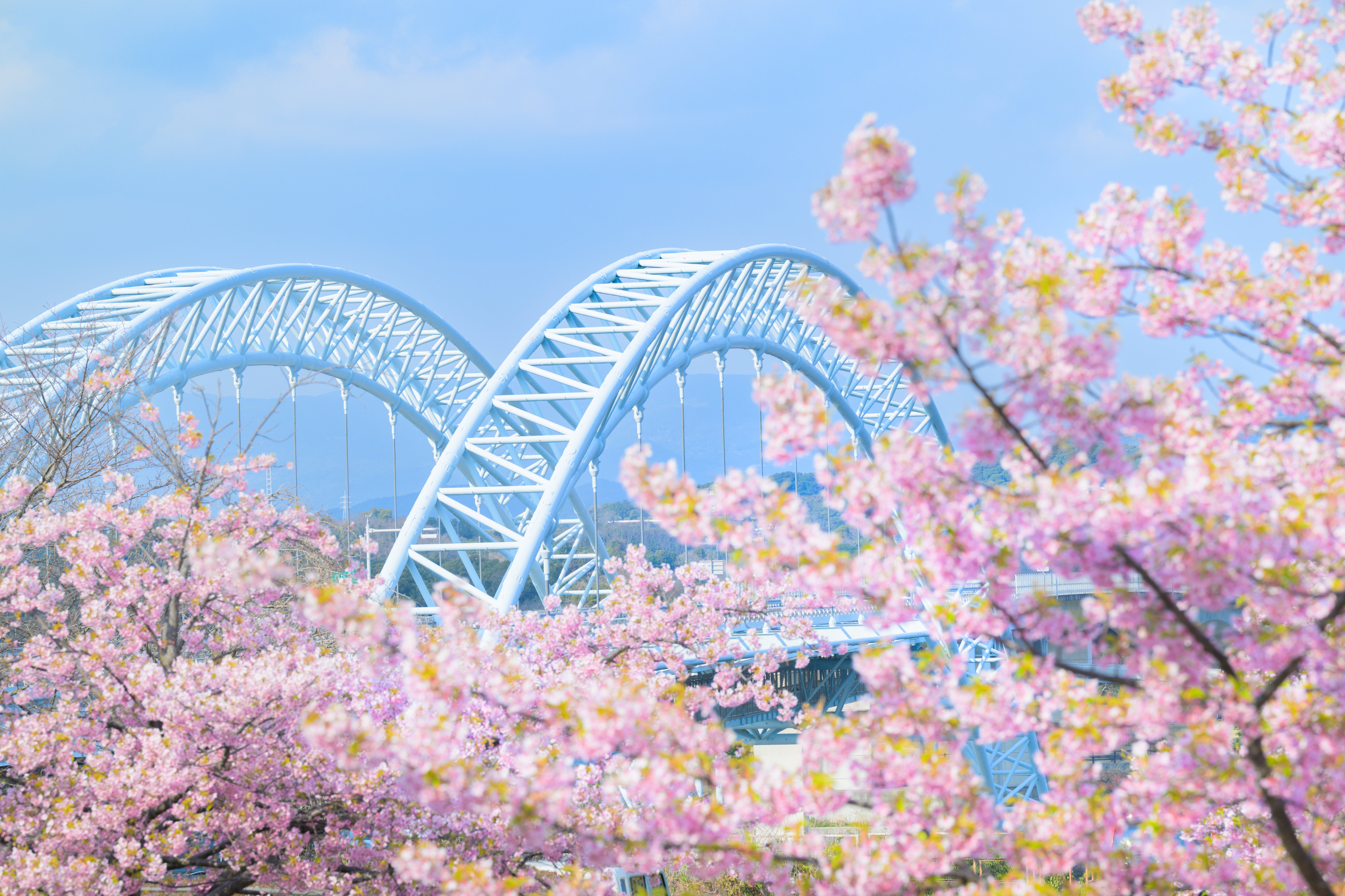 Nikon Z8持ってサクジローに会いに行く｜ほびマガ