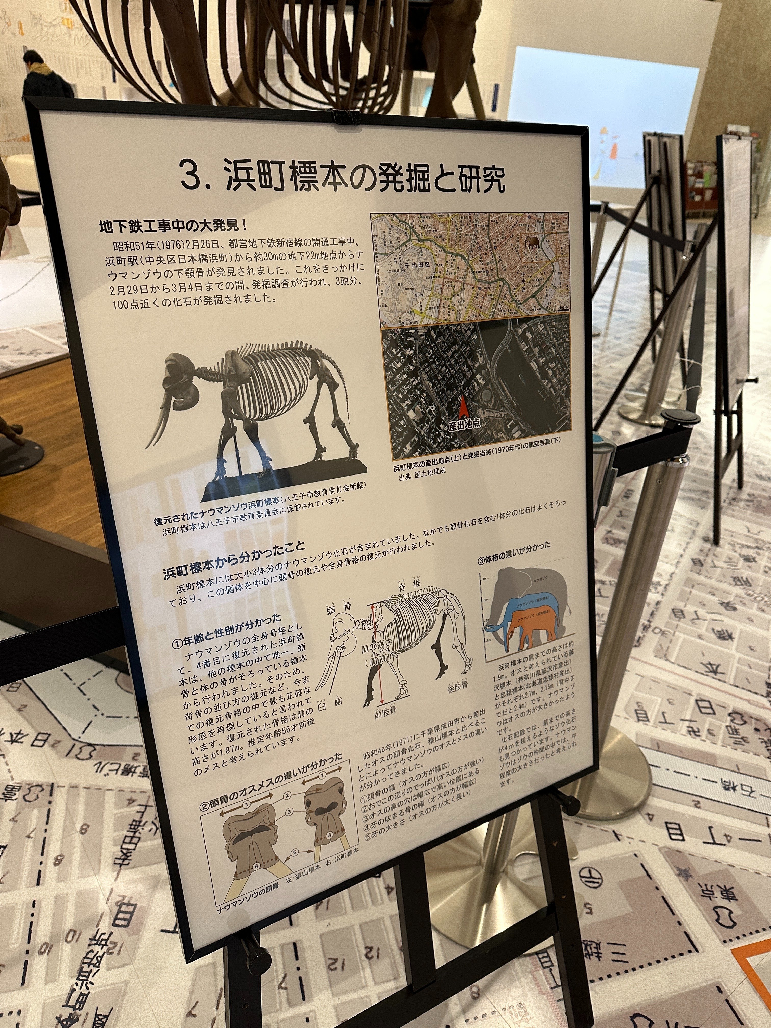 埋め立てられた川と橋があった場所（浜町川その5）｜Saki