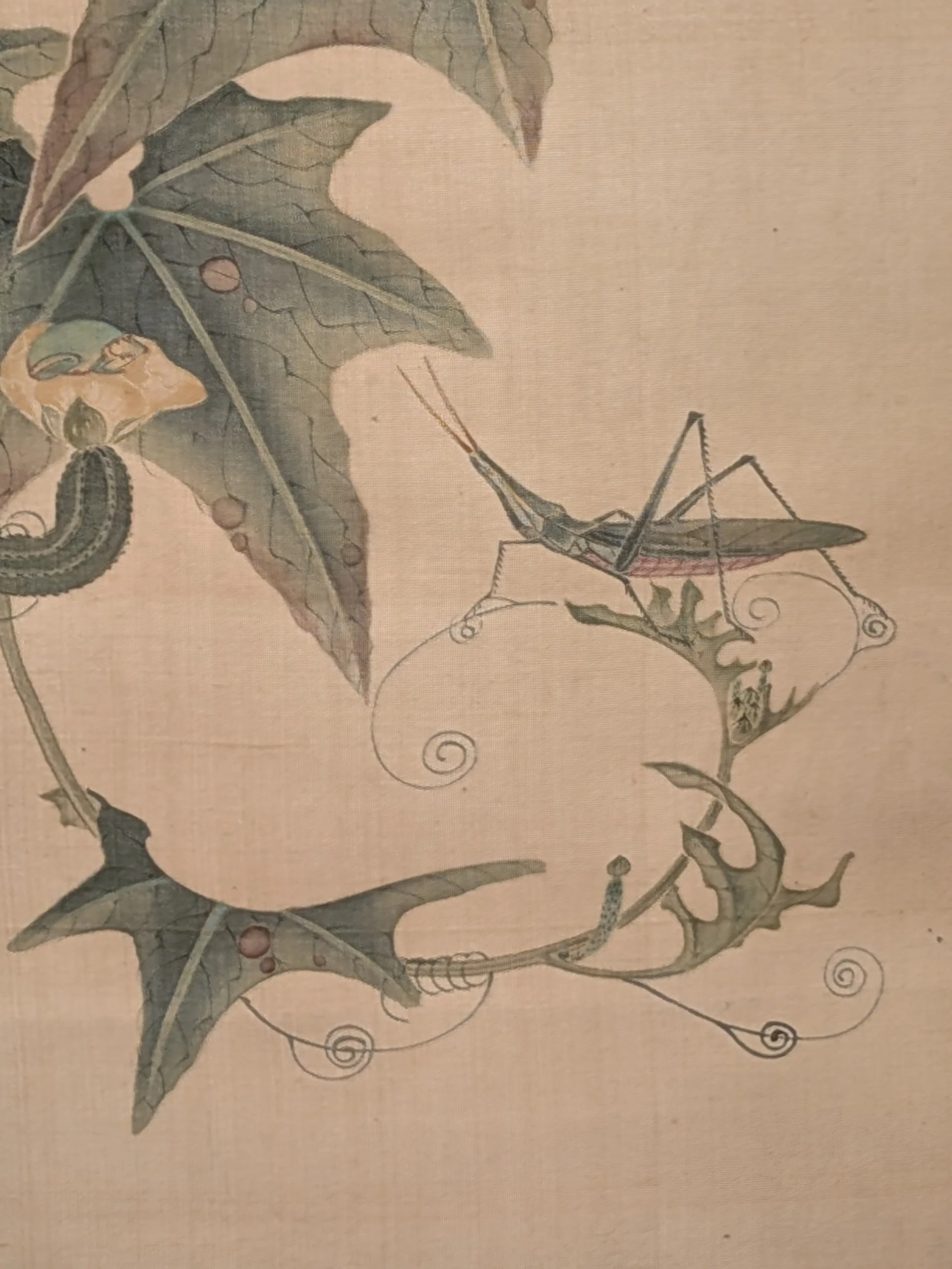 春の四都物語2025 ③細見美術館 細見コレクション 若冲と江戸絵画