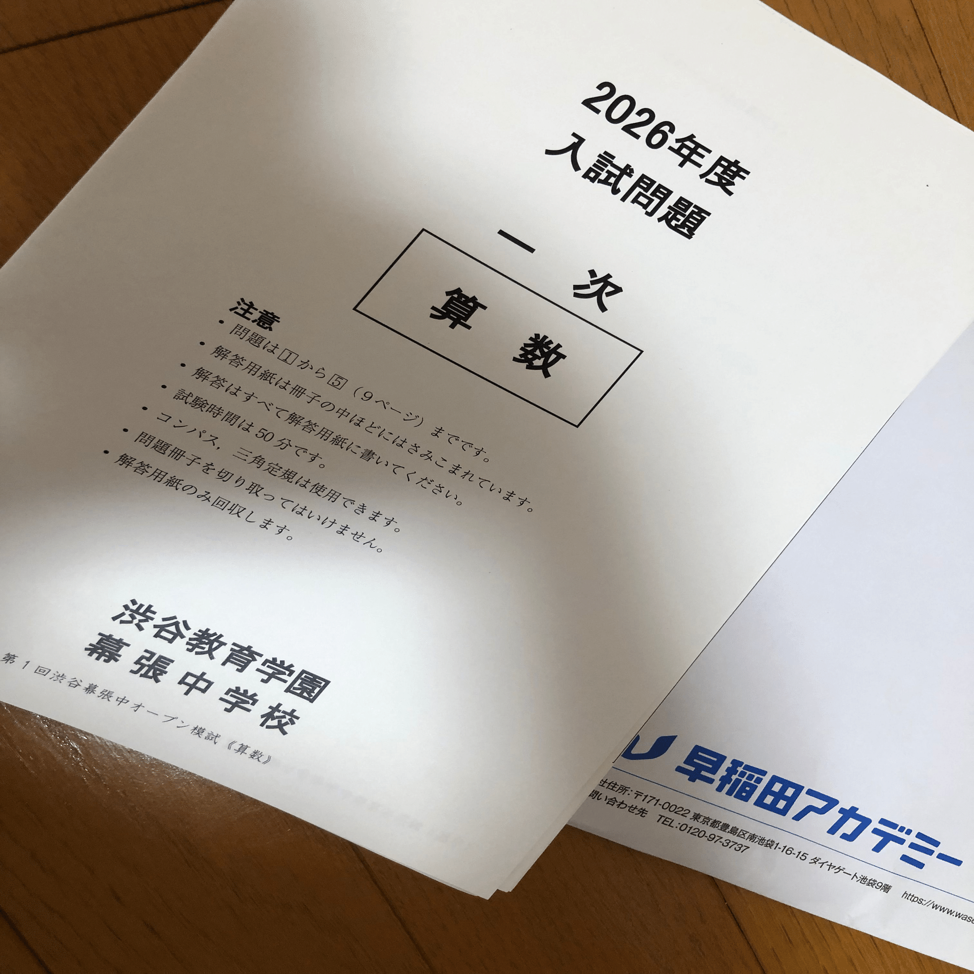 NNオープン渋谷幕張中学｜honoka
