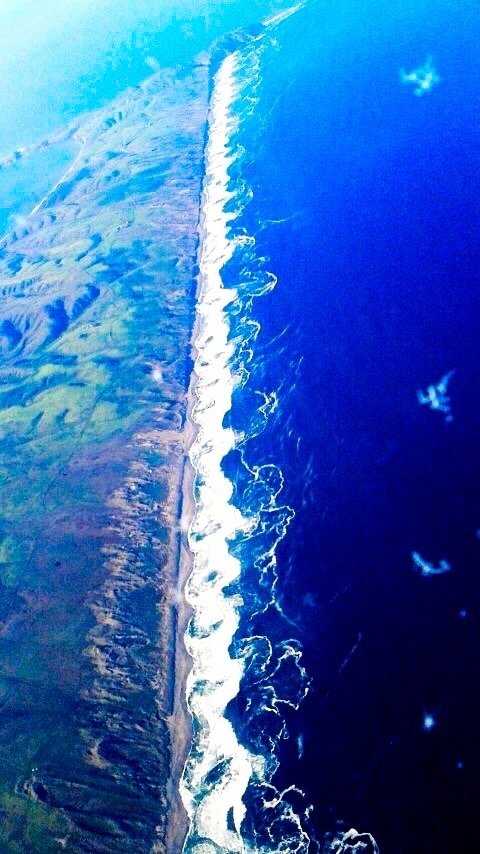 【リトグラフ】アーネスト・R・ノーリング　流木のある太平洋岸北西部の海岸のカモメ 千葉にある鵜原海岸 📷Nikon Z6ⅱ & Z14-24mm F2.8 S 🎨Adobe