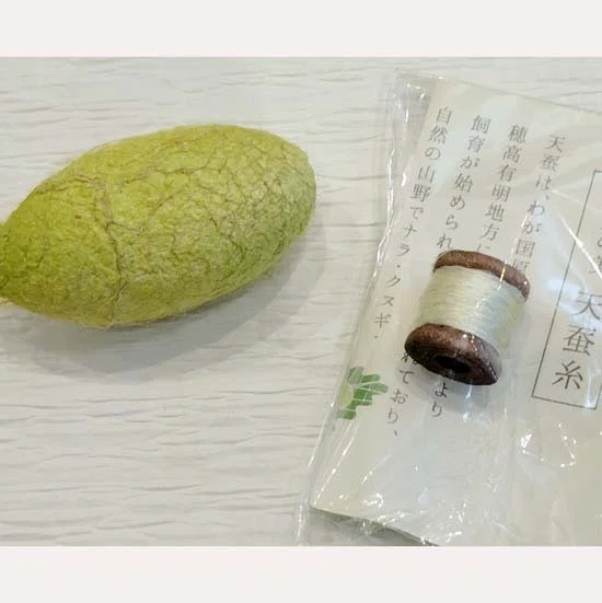 天蚕・野蚕 絹のこと。｜じざいやさくらこ