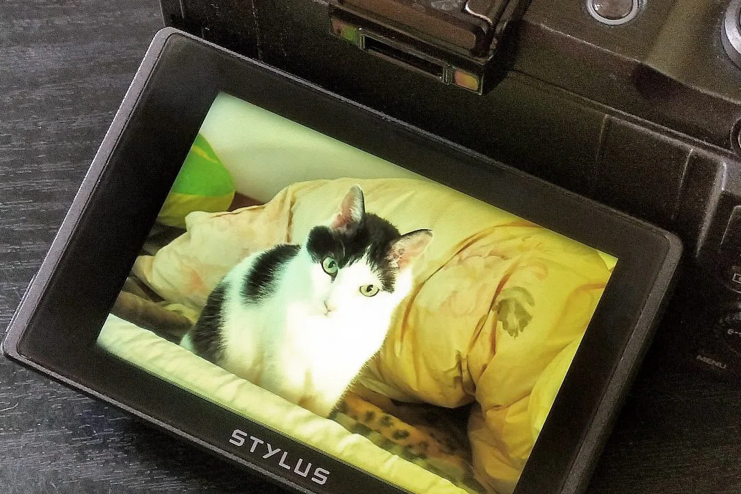 ありがとう OLYMPUS STYLUS XZ-2｜夏と放し飼い