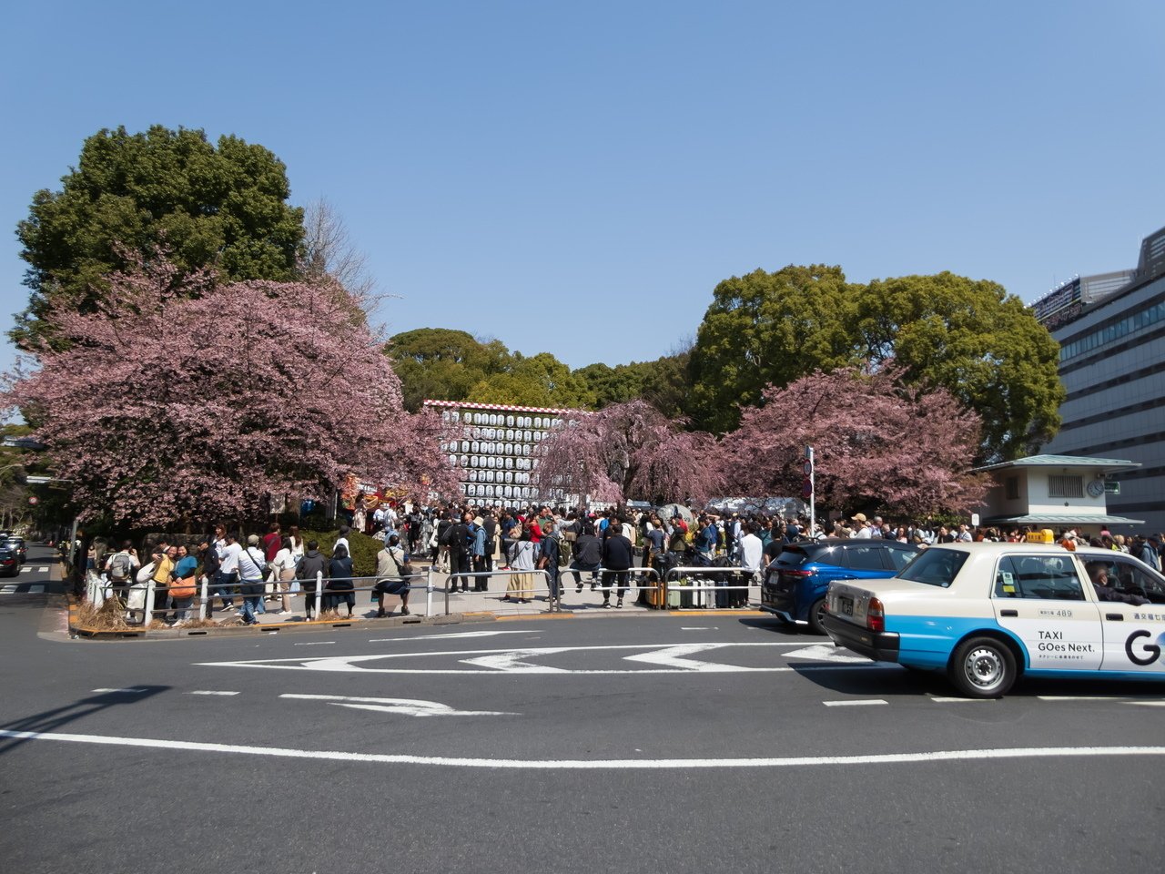 LUMIX TZ99で行く「上野公園の早咲き桜」と「上野動物園