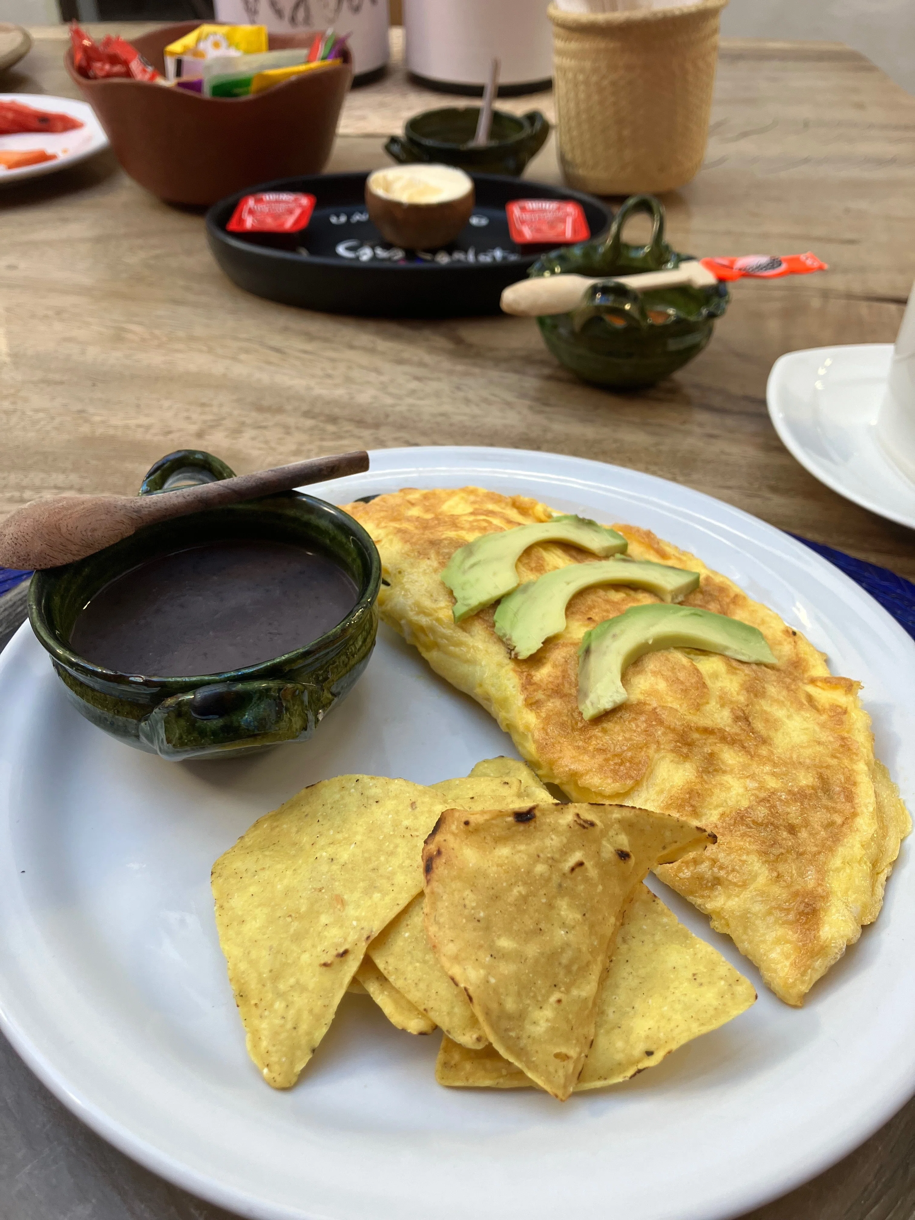 メキシコ旅行記】オアハカでサボテン林を見たメキシコ最終日｜wakaba