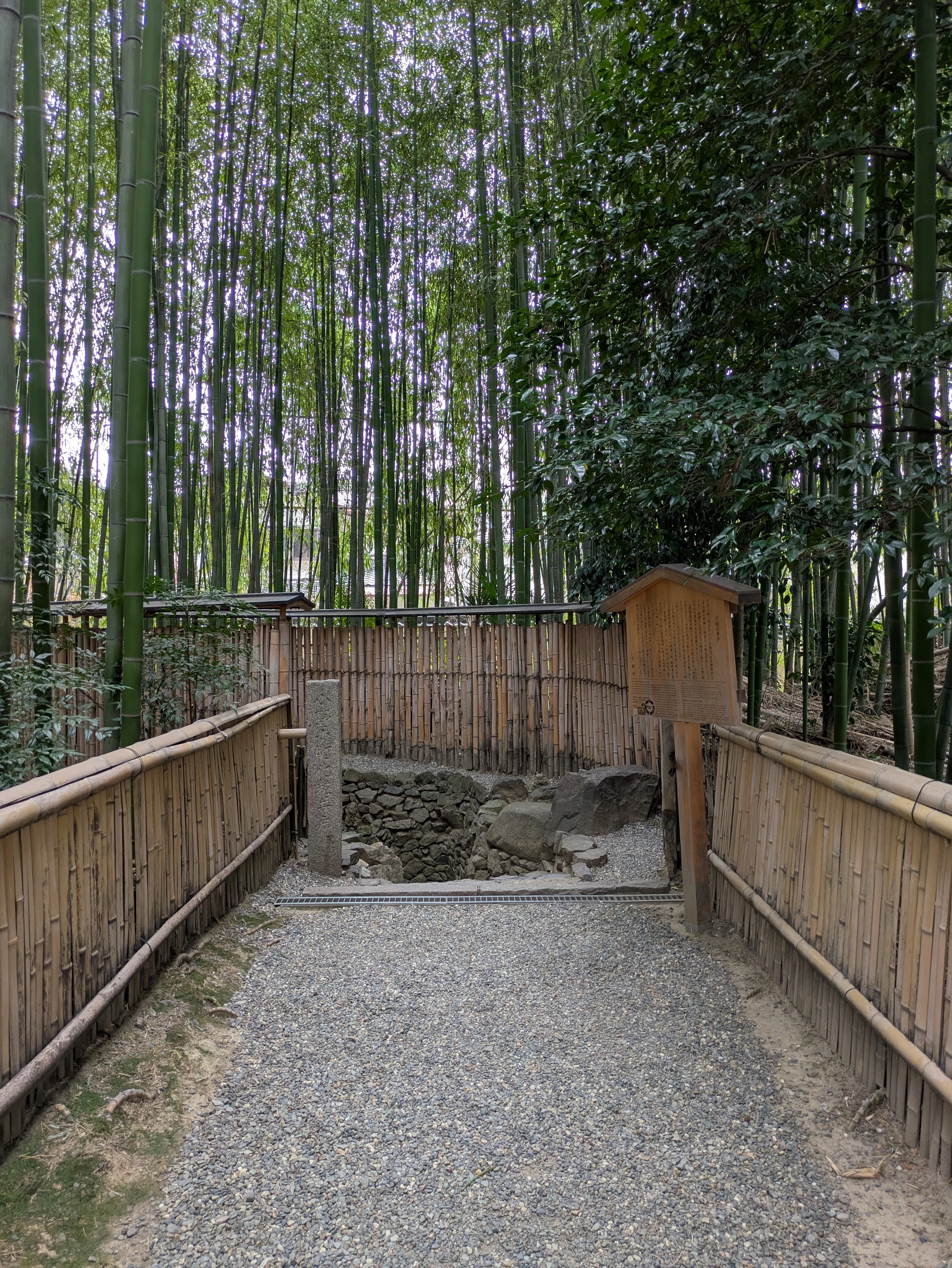 京都ぶらり】小野小町ゆかりの門跡寺院 大本山随心院｜京都ぶらり