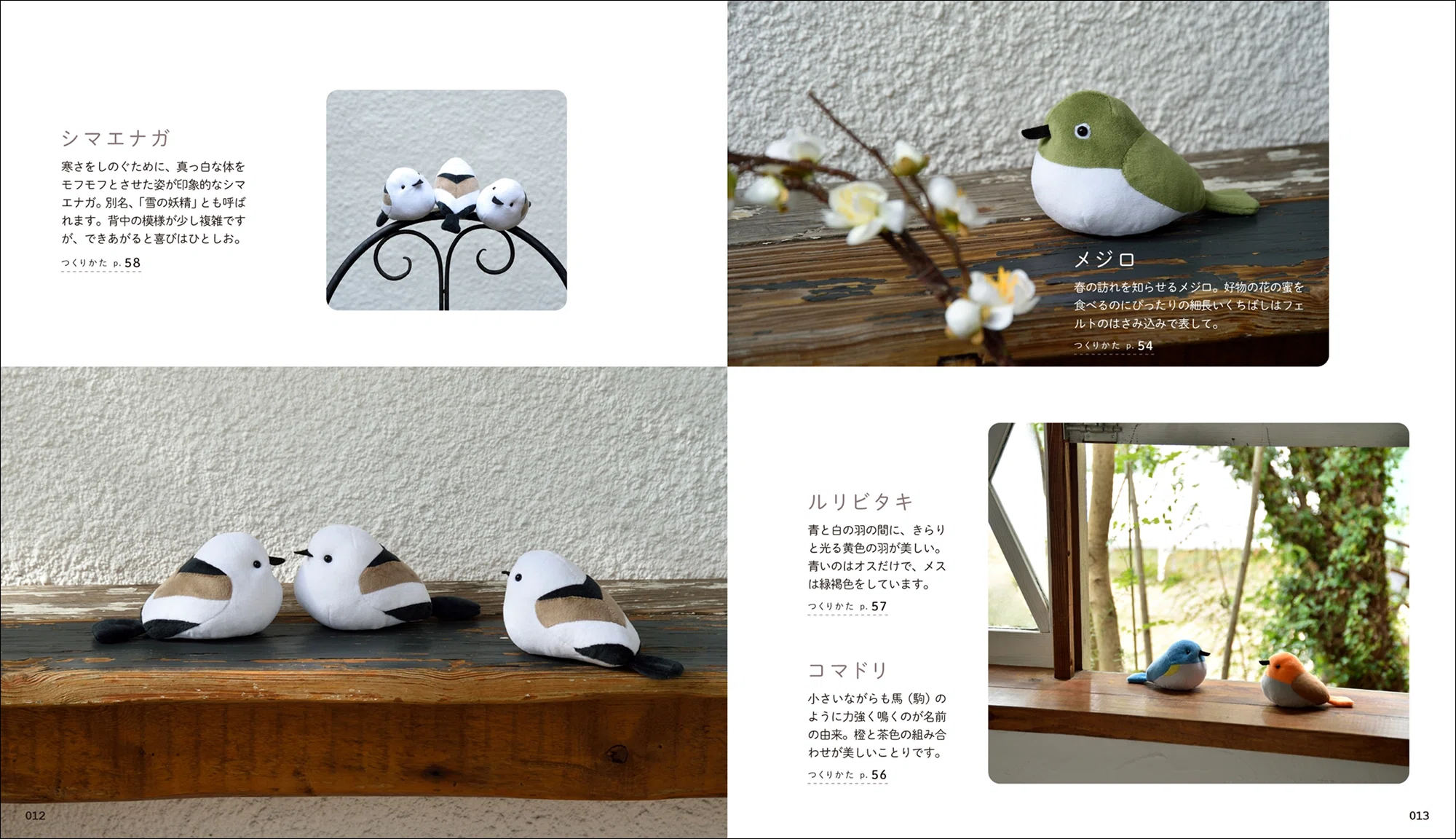 発売前から重版決定!!】インコ、文鳥、ペンギンなど、てのひらサイズの