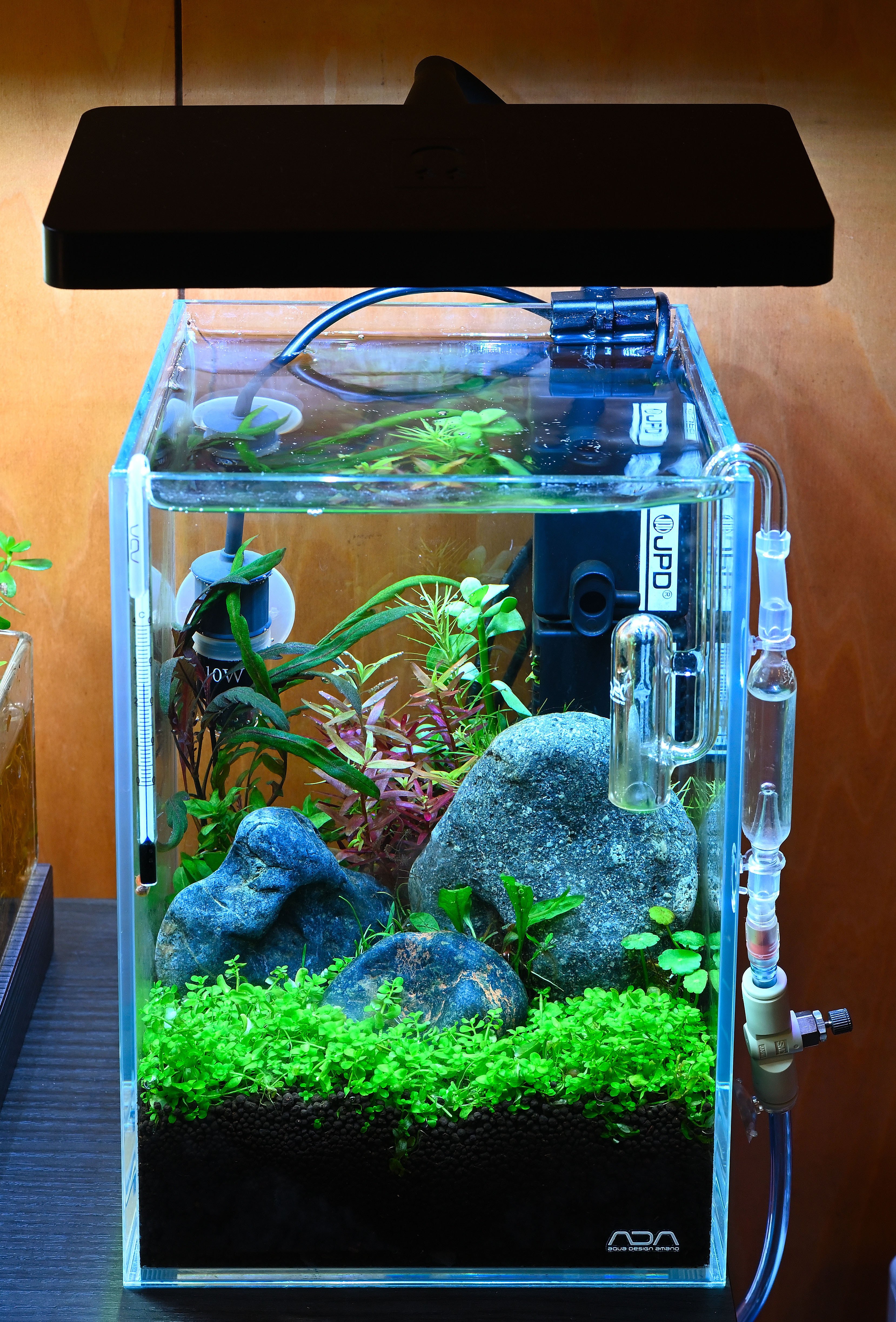 WEEK AQUA MINI9でMINI NA｜WEEK END AQUA