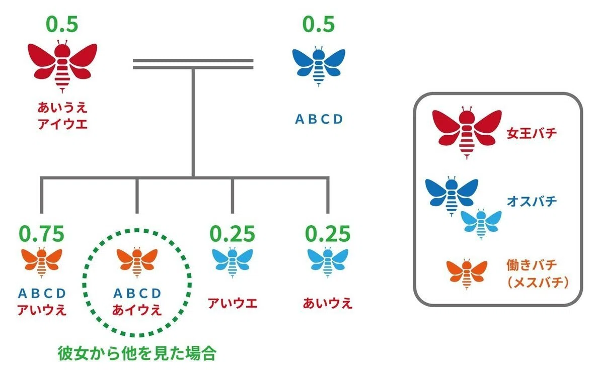 Day.022 進化生物学とデザイン / 3章「デザインの周辺知識」 |蘆澤 雄亮