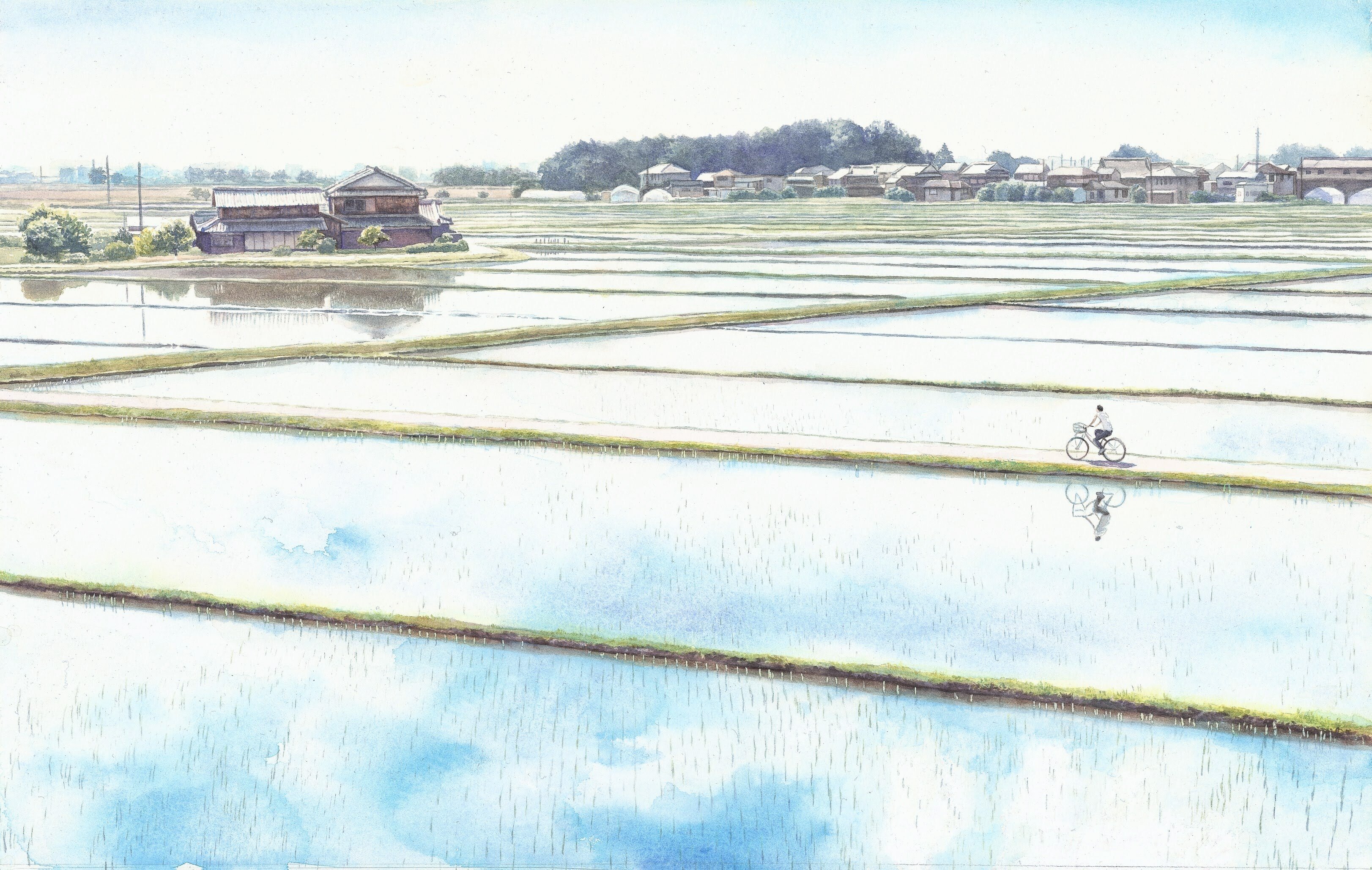 絵に対する向き合い方の変化｜富永隼人