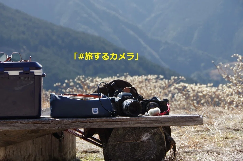リバーサルフィルム現像あがってきた。PENTAX645NII FUJI PROVIA100F