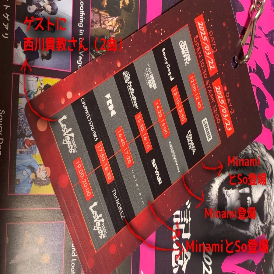 227.音楽フェス「MEGAVEGAS 2025」を堪能してきた。｜松縞しま子