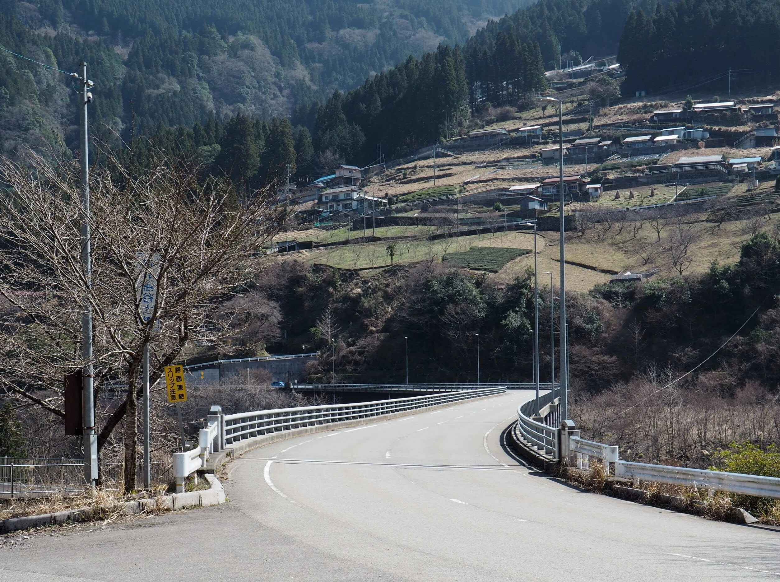 祖谷峡の「かかし村」集落の記憶を語る人形たち｜中山道雄