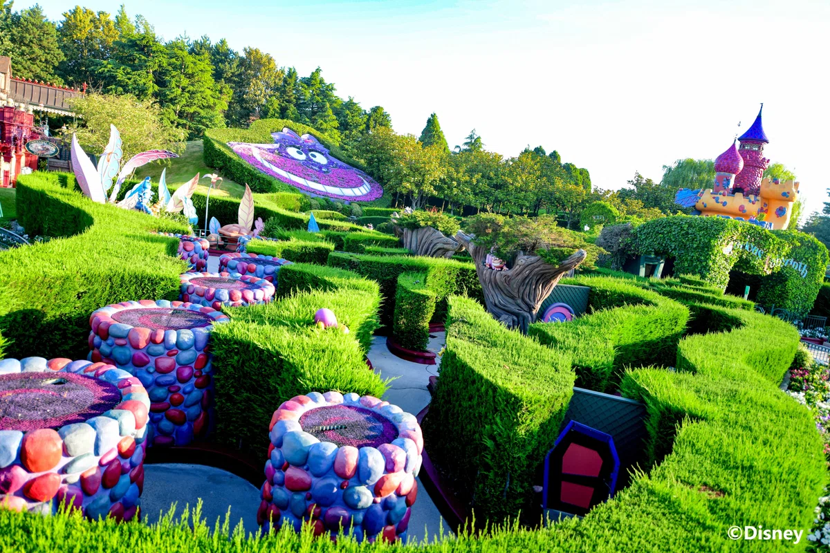 アリスの好奇心の迷路(Alice's Curious Labyrinth)