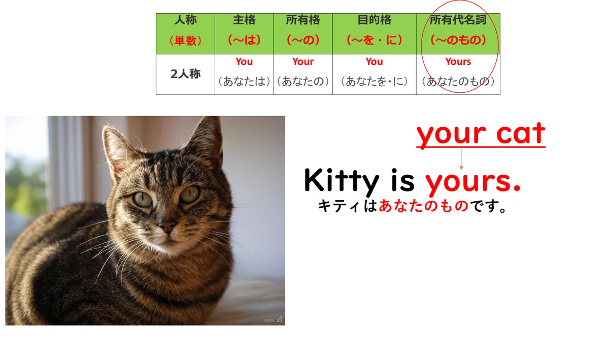 2人称(単数)you, your, you, yours人称代名詞|英語大好き