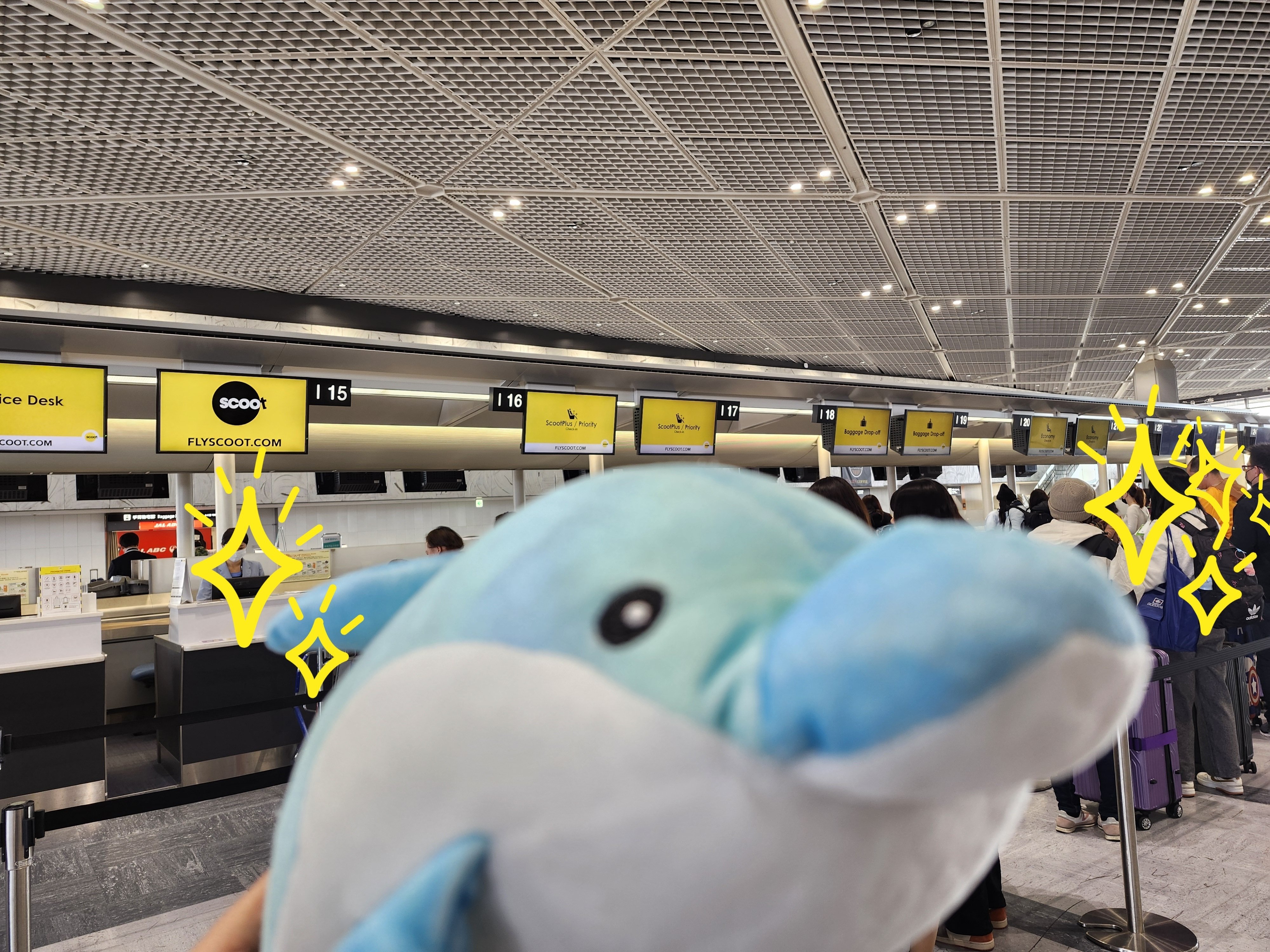 台湾で海鳥を見てきました！｜のいまん