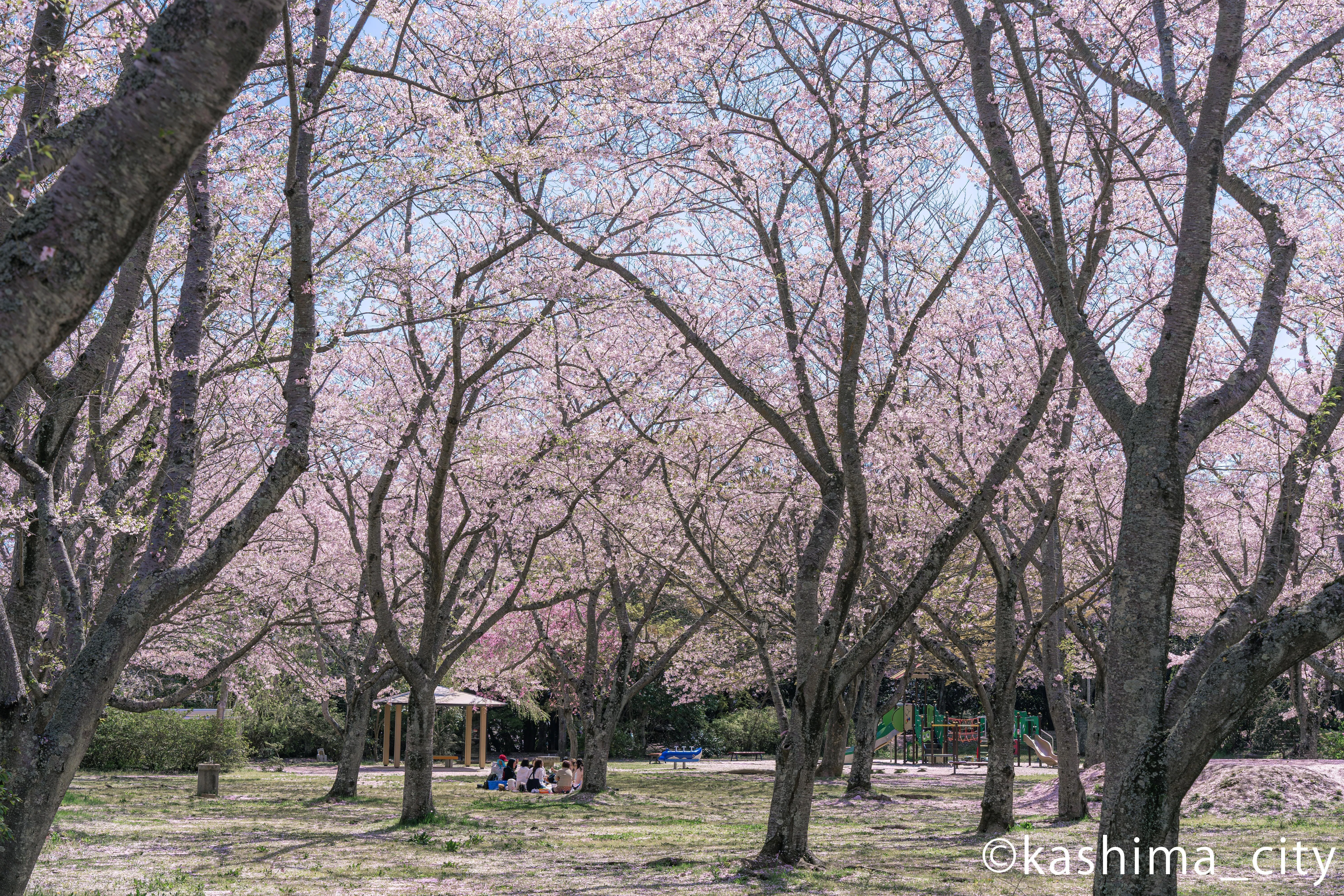 鹿島アントラーズ Introducing Hometown and Friendly Town Regional Events! [April