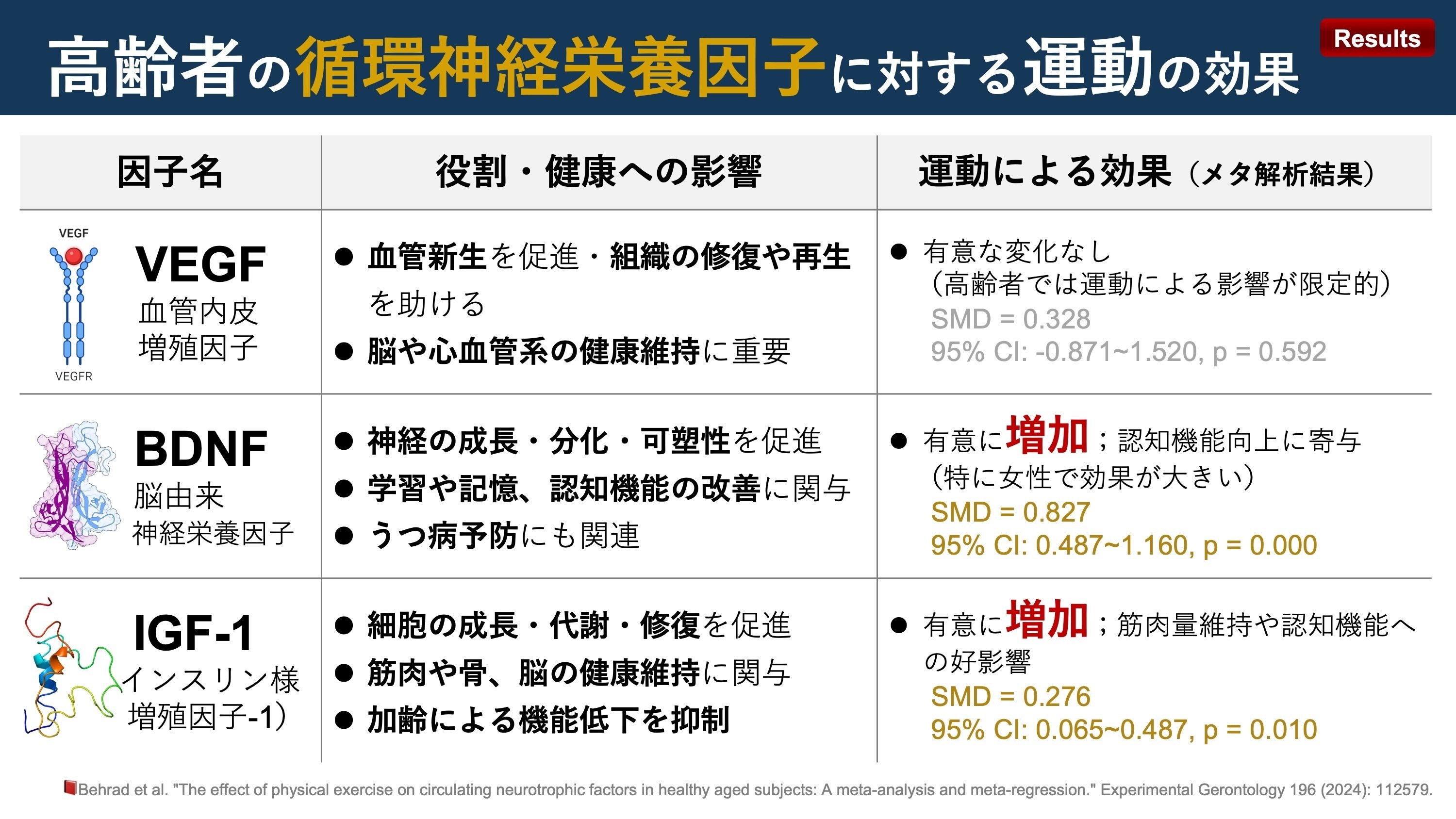 高齢者の運動が循環神経栄養因子に及ぼす影響｜Super Human