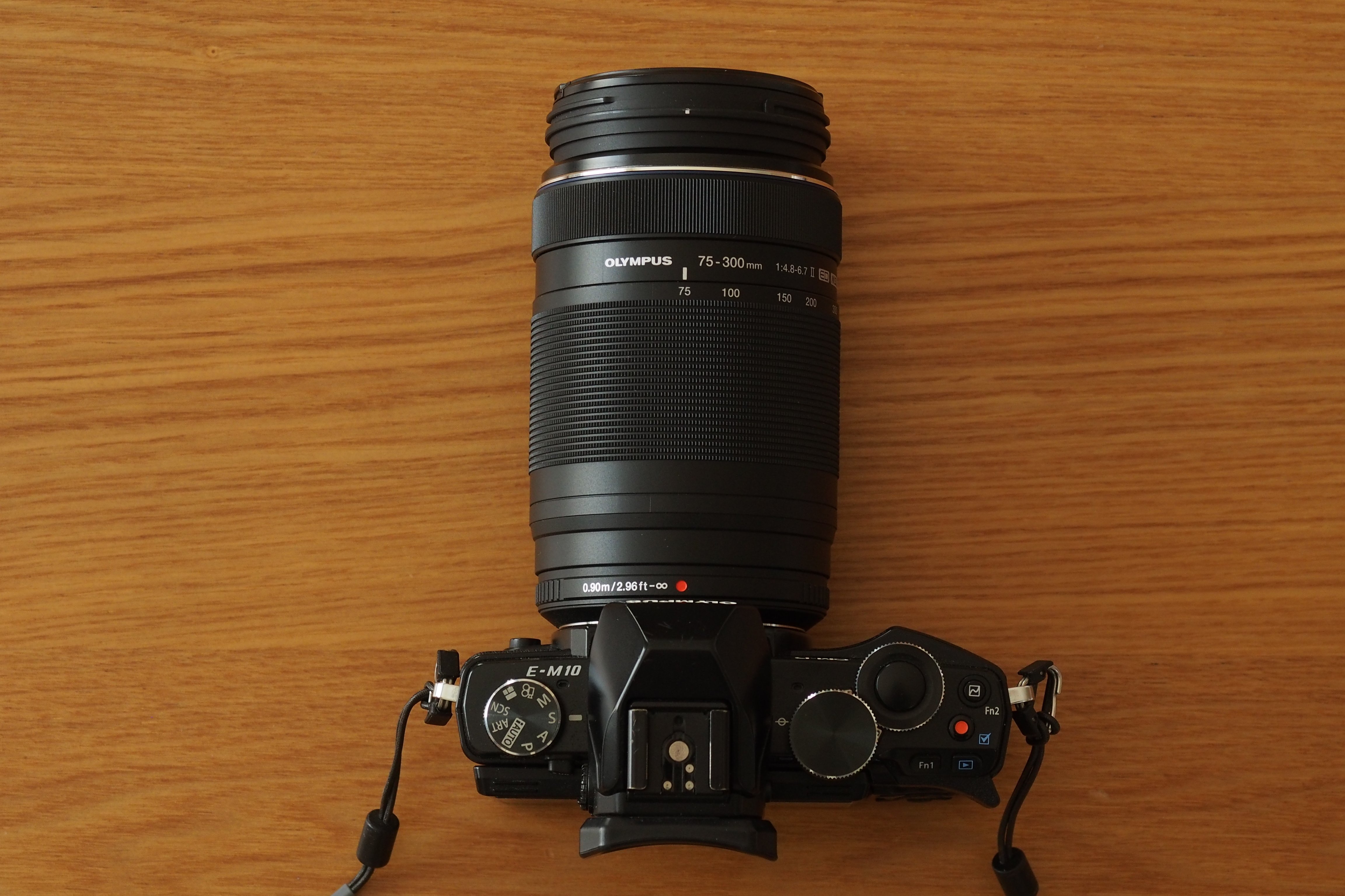 散歩のお供の野鳥撮影レンズ｜M.ZUIKO DIGITAL ED 75-300mm F4.8-6.7