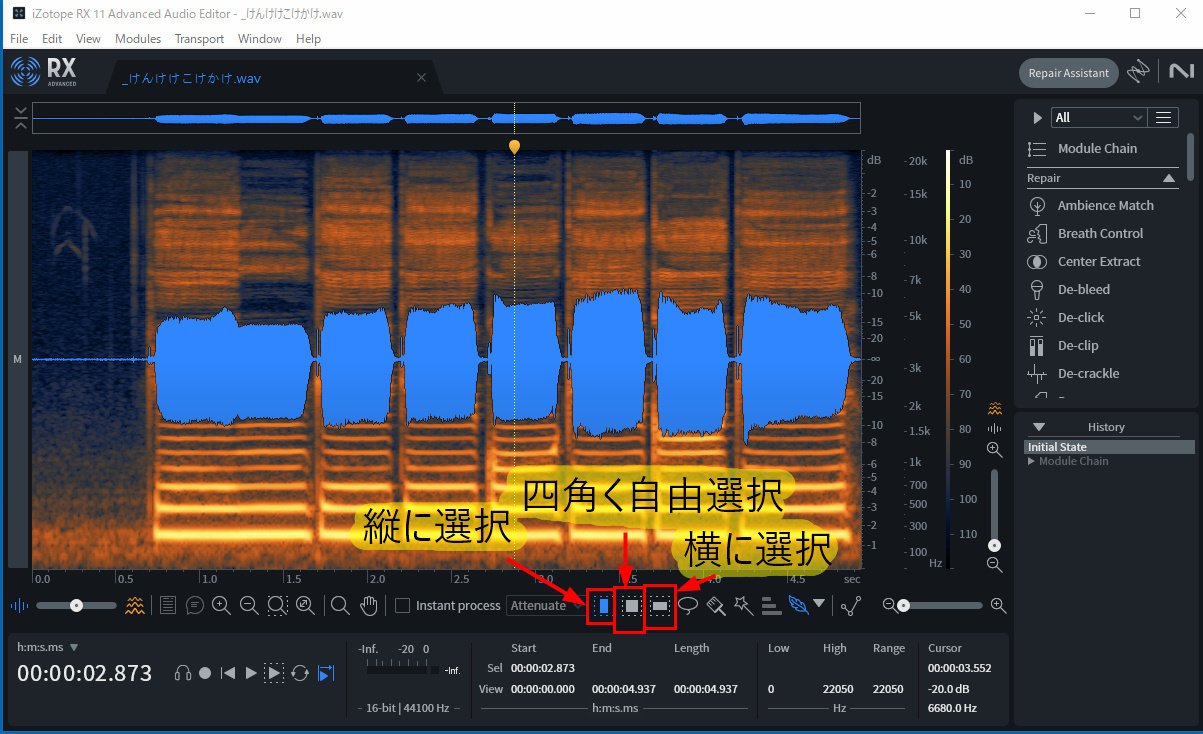 断捨離まる プロフ必読！　写真のRとSとU-900値引き トップページ | ガットリベロ株式会社