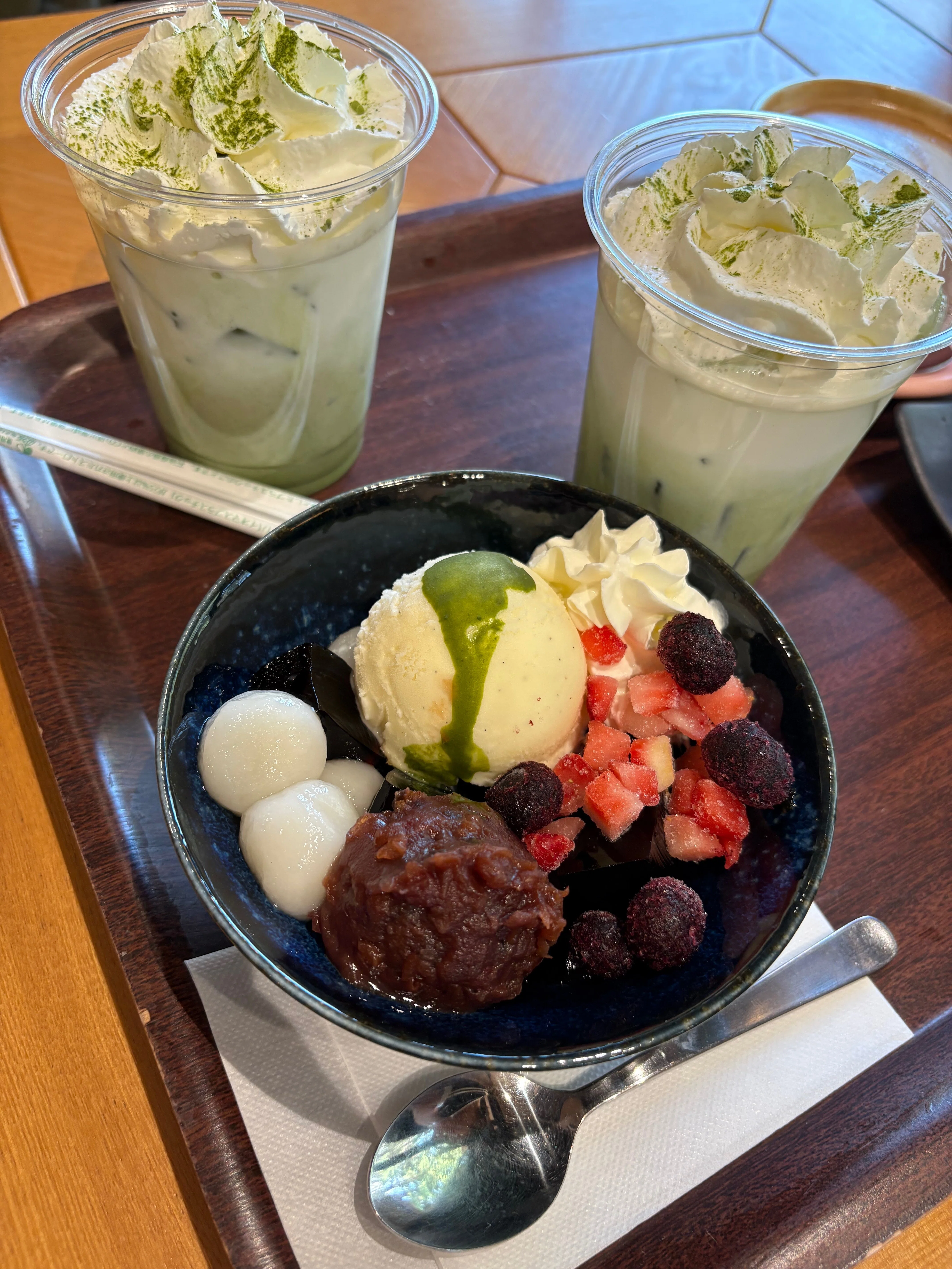 [中古][動作確認済]HIKARI HADO COASTER 光波動コースター ひとり親戚旅 5日目②｜ほしうみ