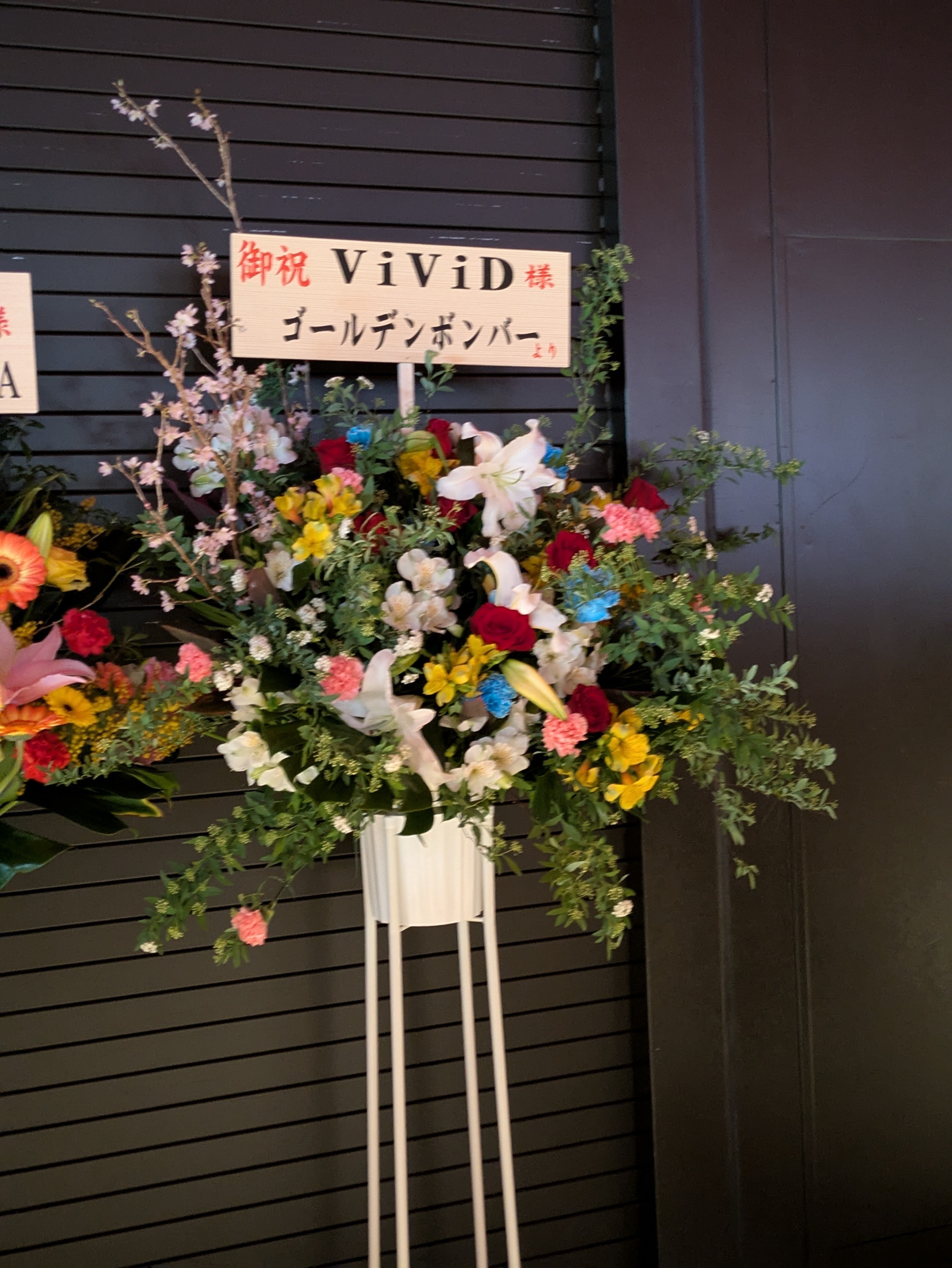 ViViDワンマンライブ「Dear」の記録｜マール🐿