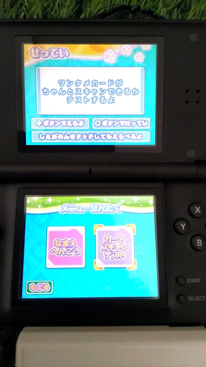 番外編】ワンタメ(DSカードリーダー編)｜メイとひみつ。